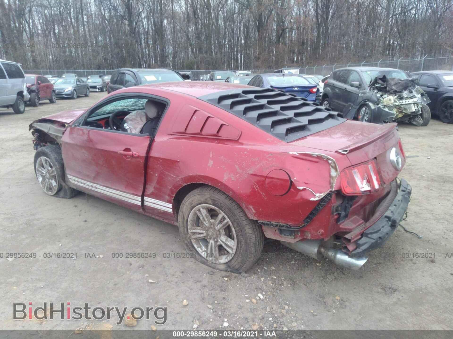 2012 FORD MUSTANG - VIN: 1ZVBP8AM7C5274353 - Фото 3
