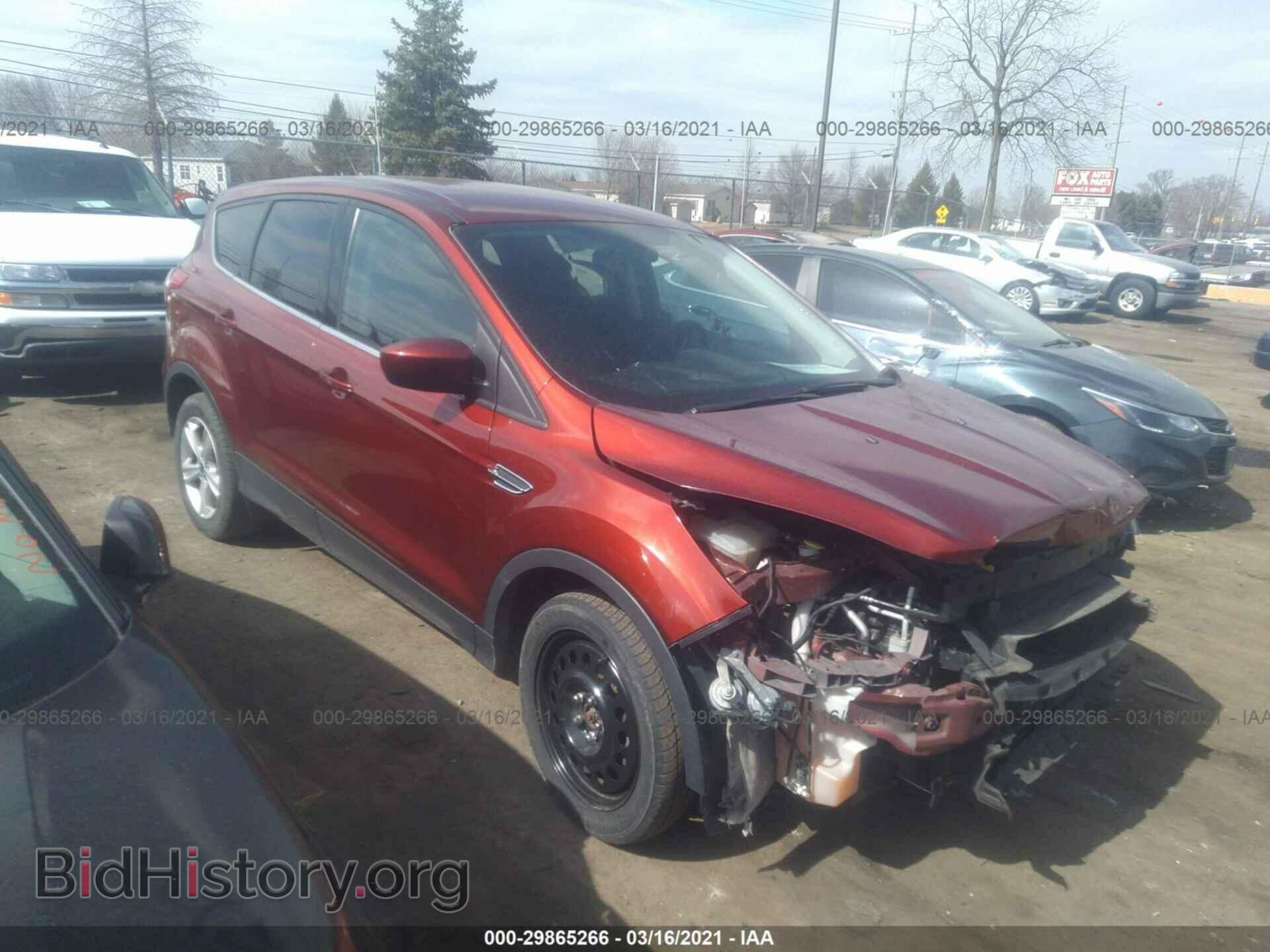 Фотография 1FMCU0GX1EUD36675 - FORD ESCAPE 2014