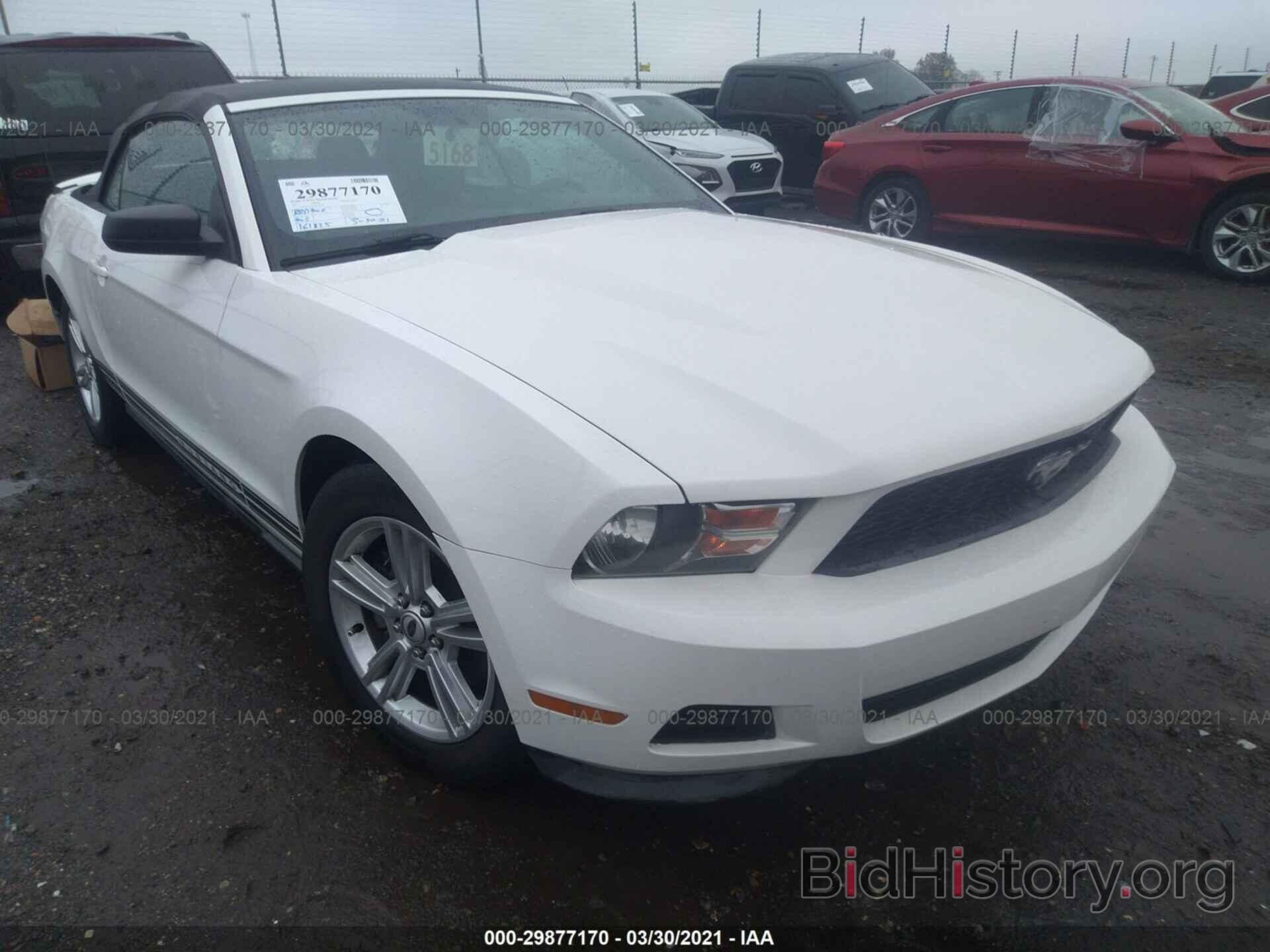 Photo 1ZVBP8EM1B5135506 - FORD MUSTANG 2011