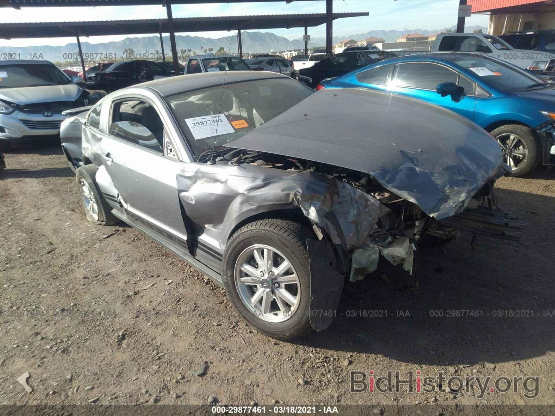 Photo 1ZVHT80N175227518 - FORD MUSTANG 2007