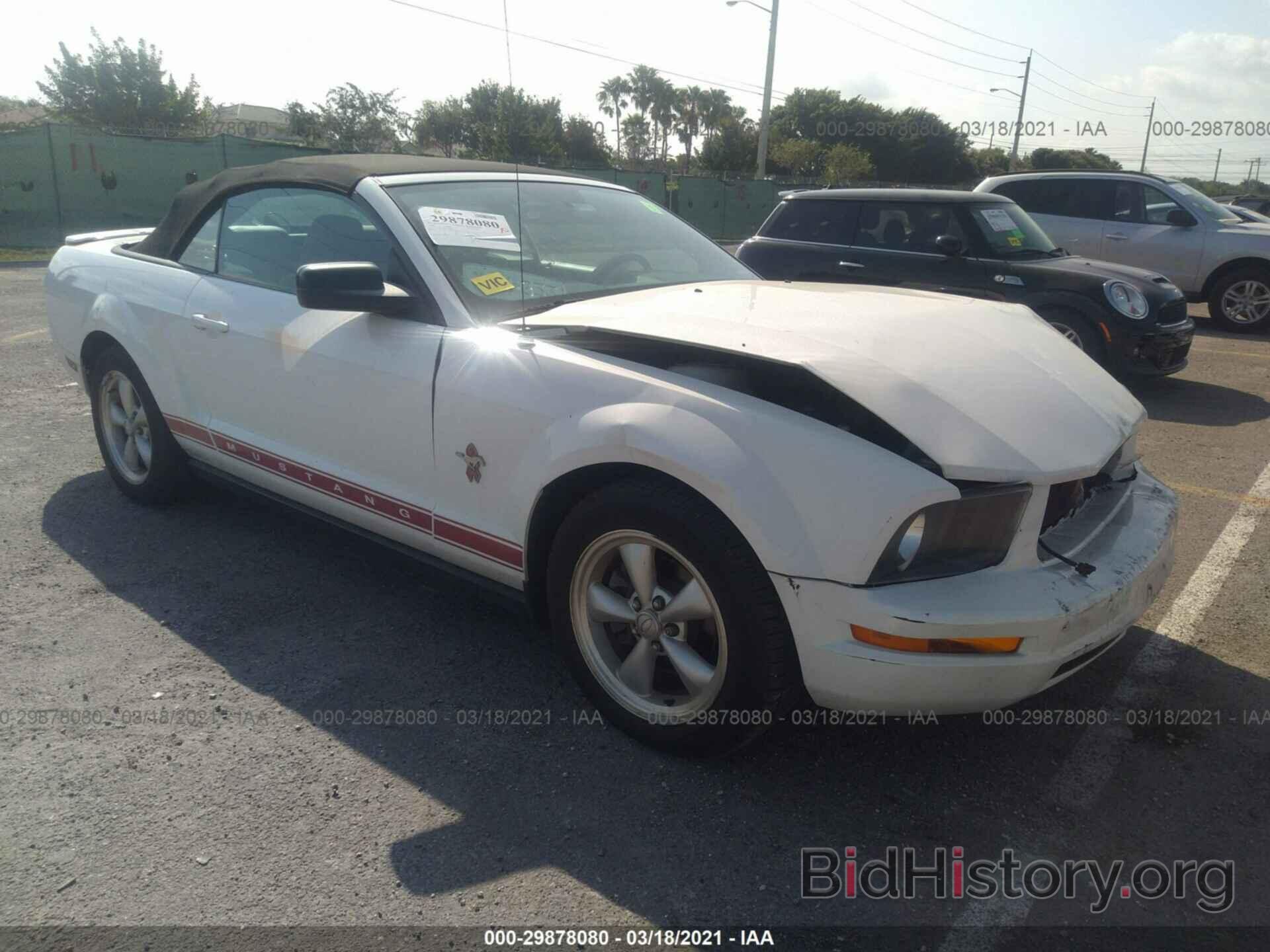 Photo 1ZVHT84N385122653 - FORD MUSTANG 2008