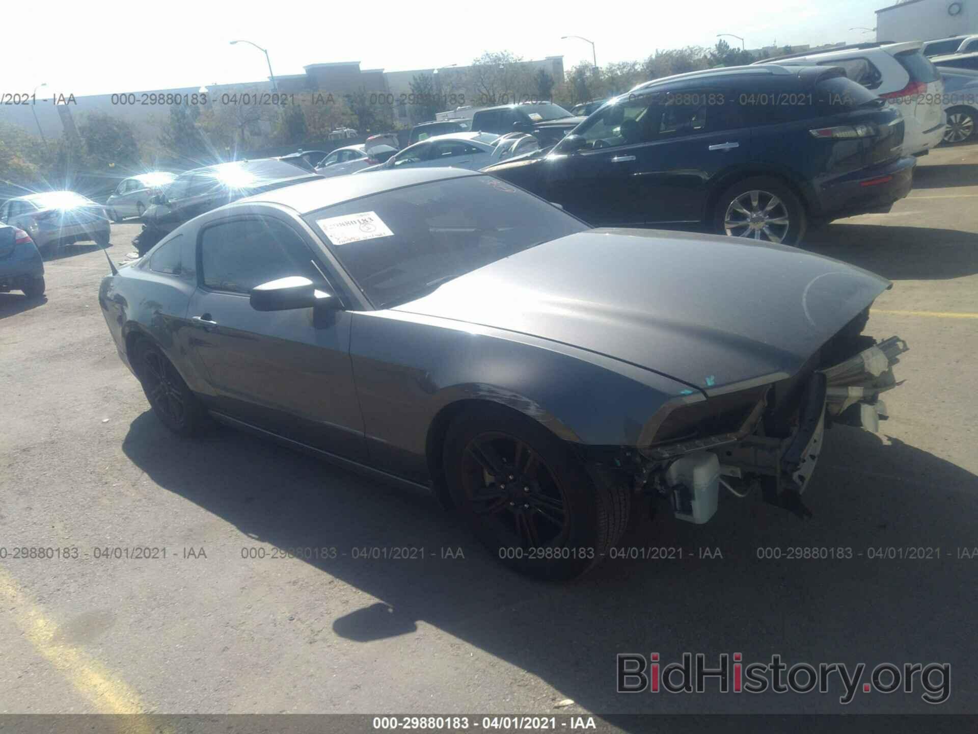 Photo 1ZVBP8AM1E5310301 - FORD MUSTANG 2014