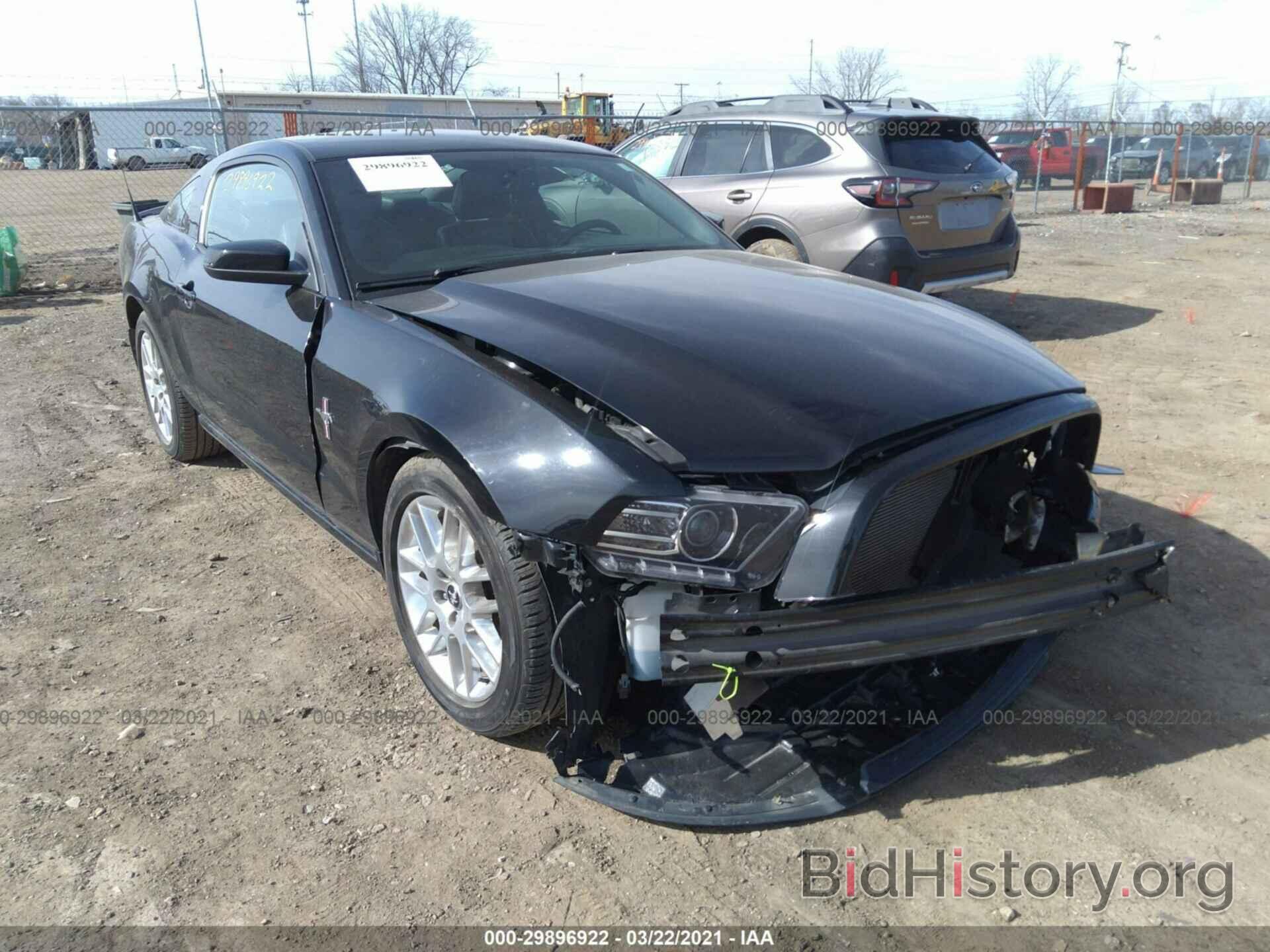 Photo 1ZVBP8AM2E5260900 - FORD MUSTANG 2014
