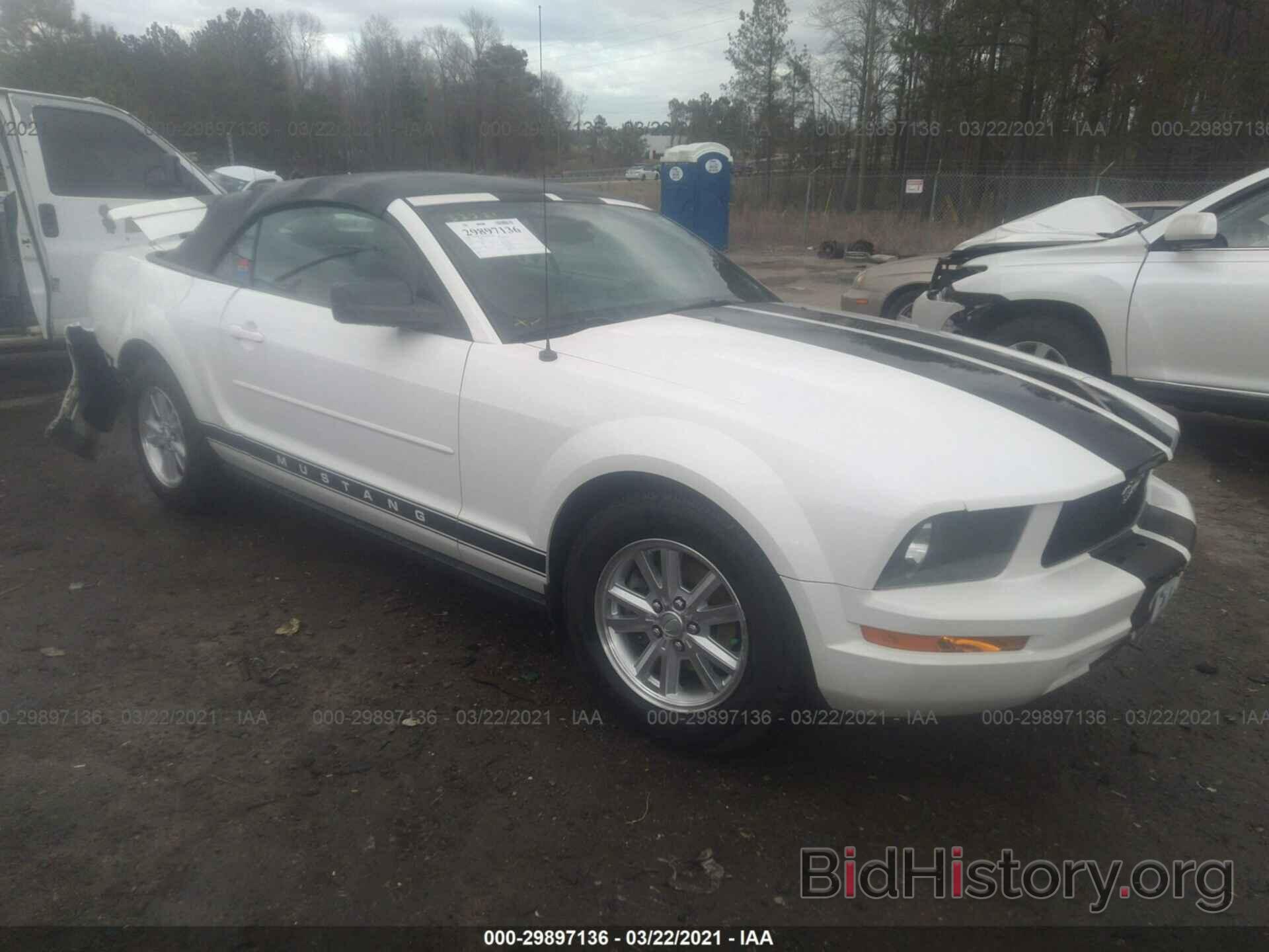 Photo 1ZVFT84N775353433 - FORD MUSTANG 2007