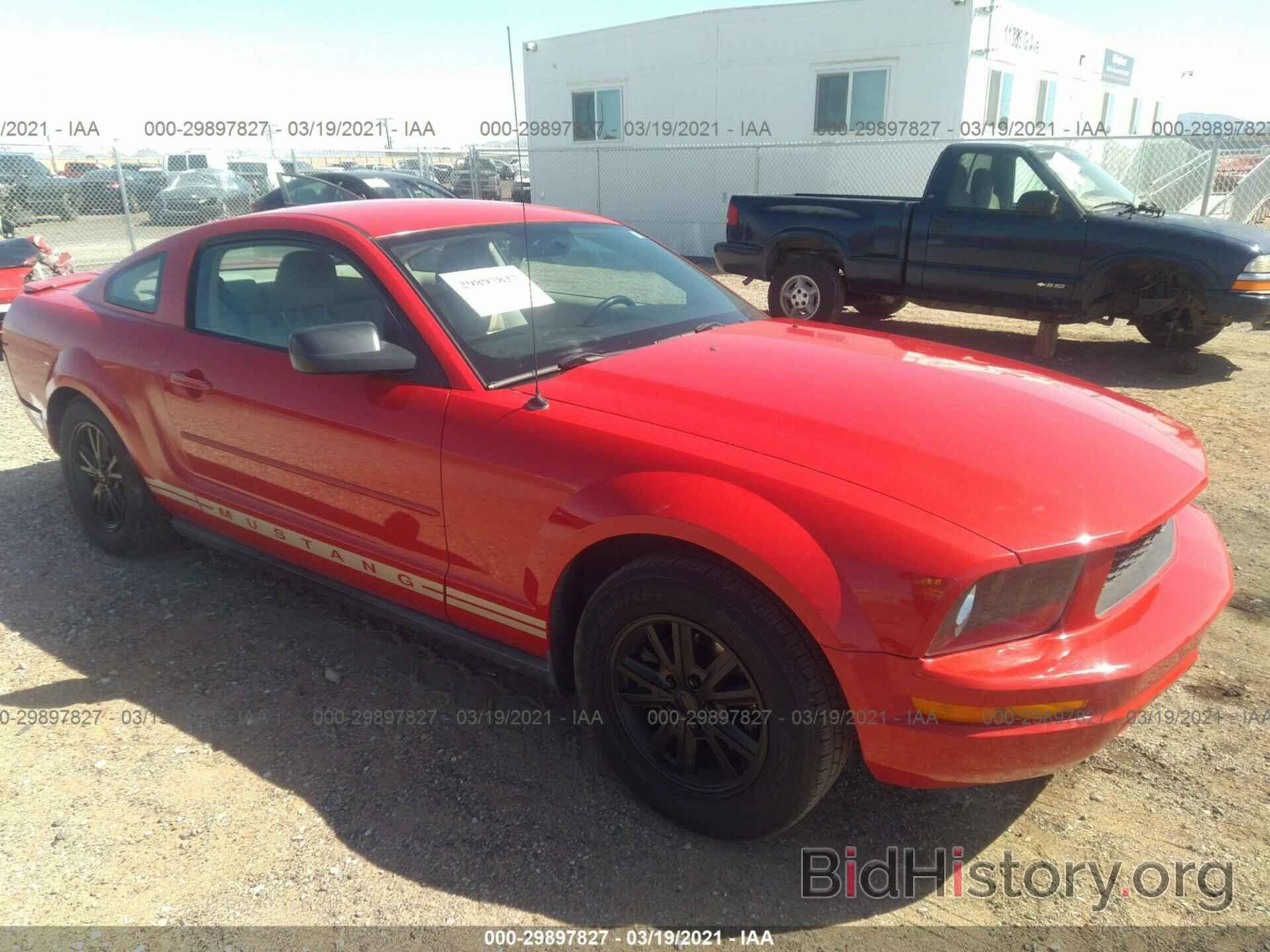 Photo 1ZVHT80NX85207916 - FORD MUSTANG 2008