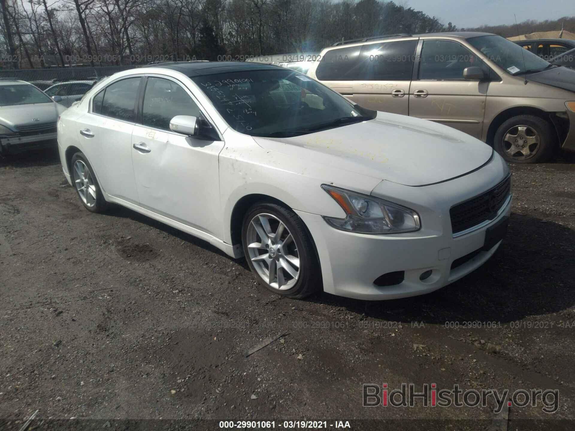 Photo 1N4AA5AP5BC861756 - NISSAN MAXIMA 2011