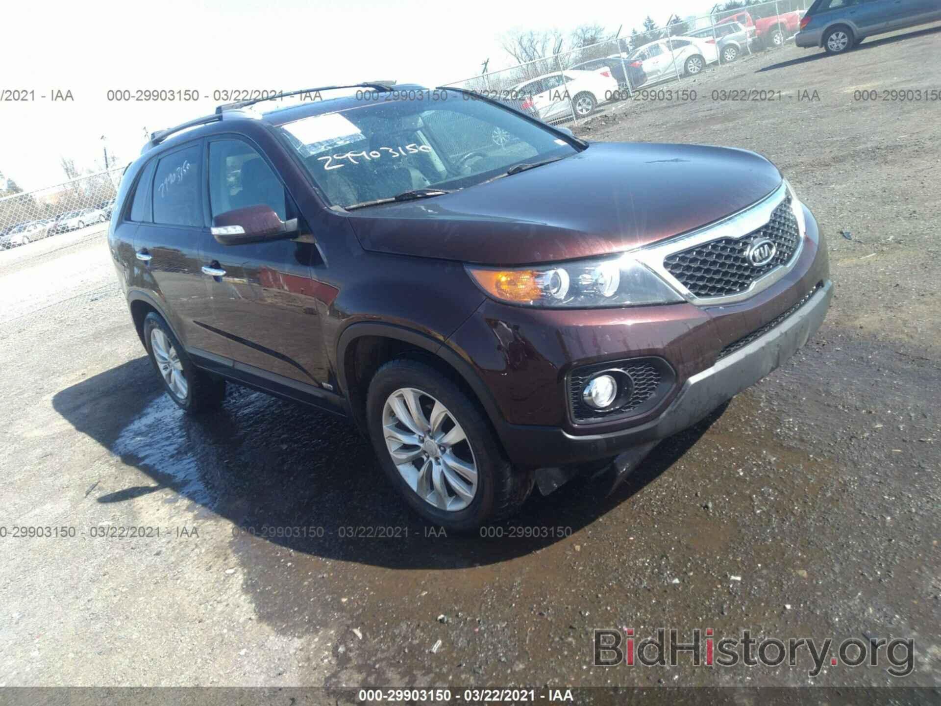 Photo 5XYKUDA1XBG031989 - KIA SORENTO 2011