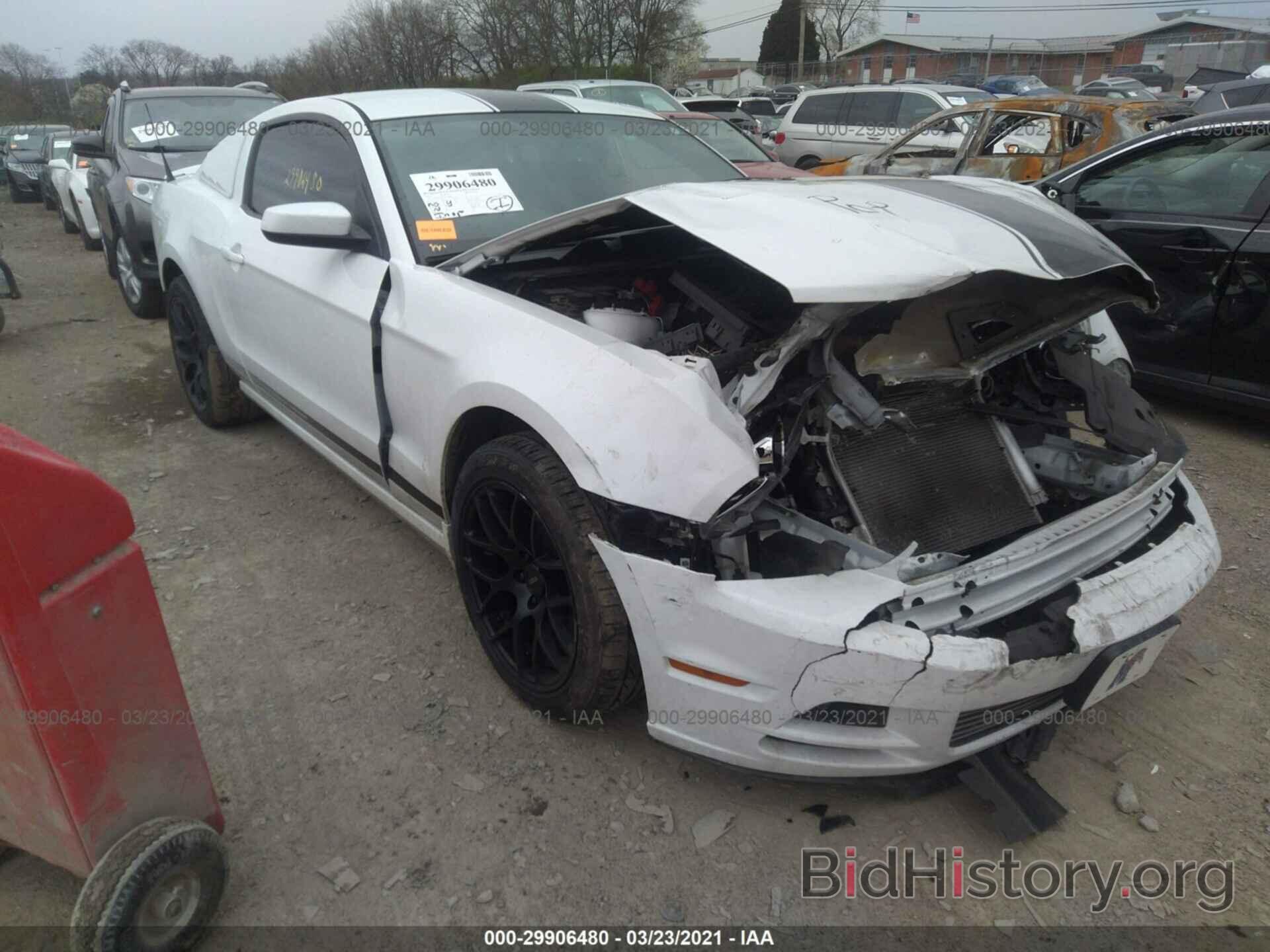 Photo 1ZVBP8AM3E5278631 - FORD MUSTANG 2014