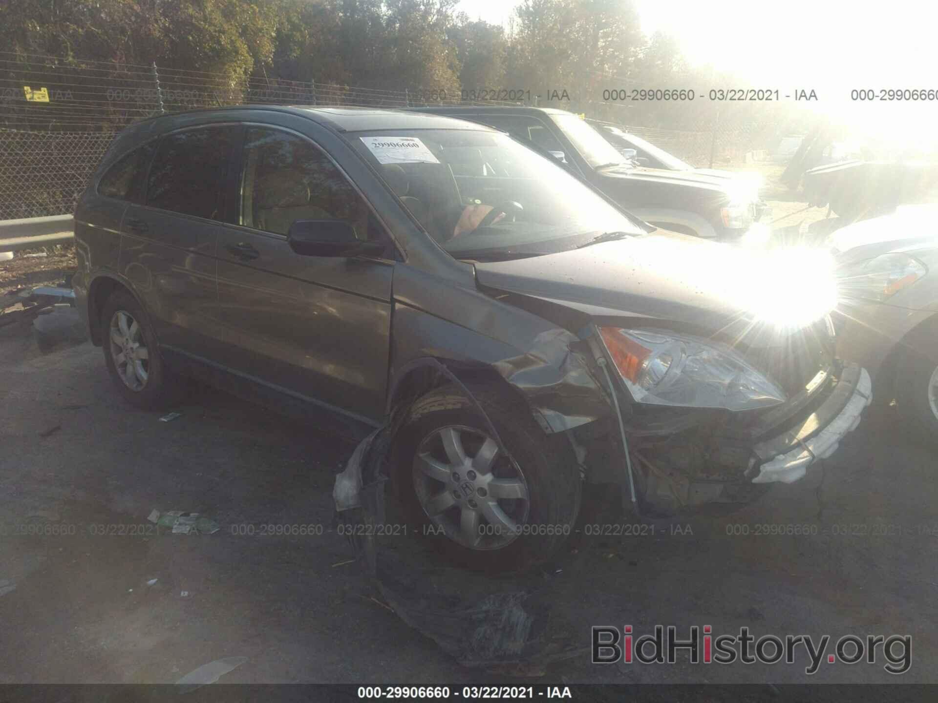 Photo JHLRE38517C006699 - HONDA CR-V 2007