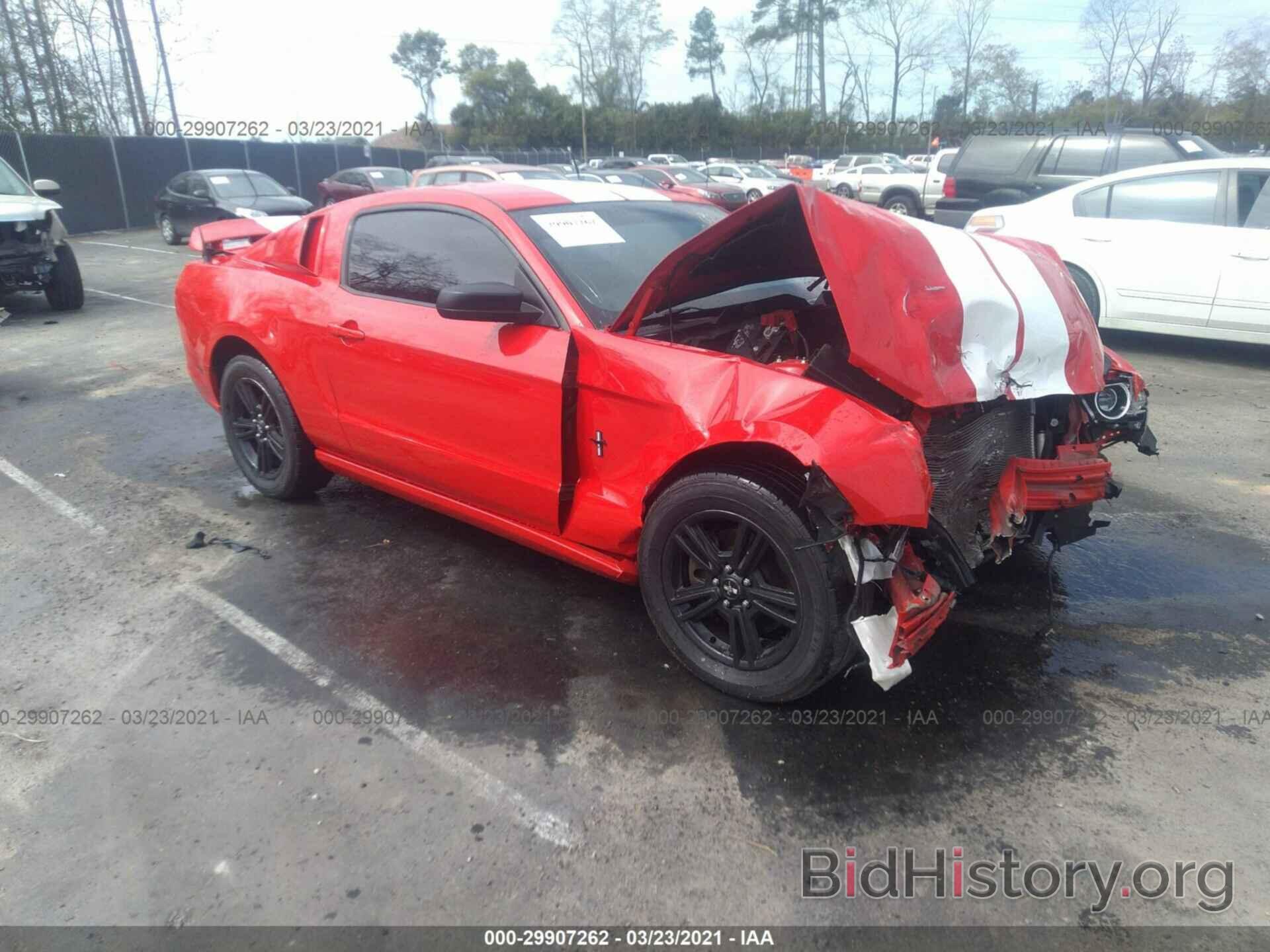 Photo 1ZVBP8AM0E5298271 - FORD MUSTANG 2014