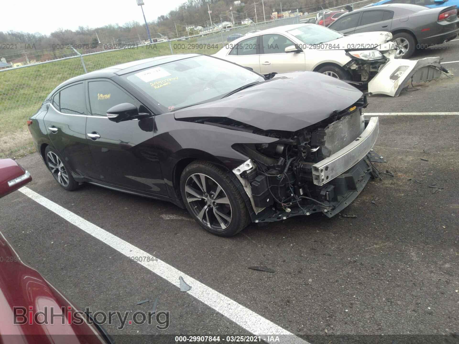 Фотография 1N4AA6AP7HC424694 - NISSAN MAXIMA 2017