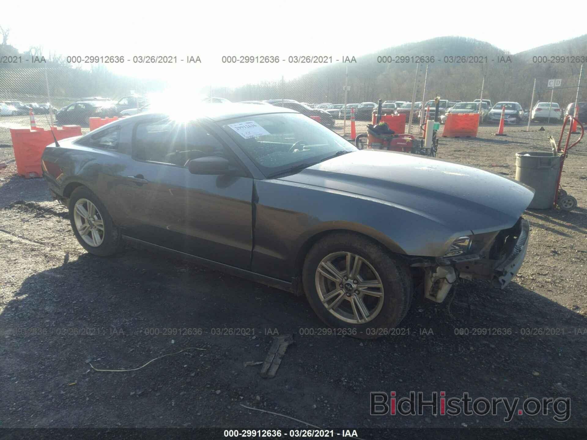 Photo 1ZVBP8AM7E5318273 - FORD MUSTANG 2014