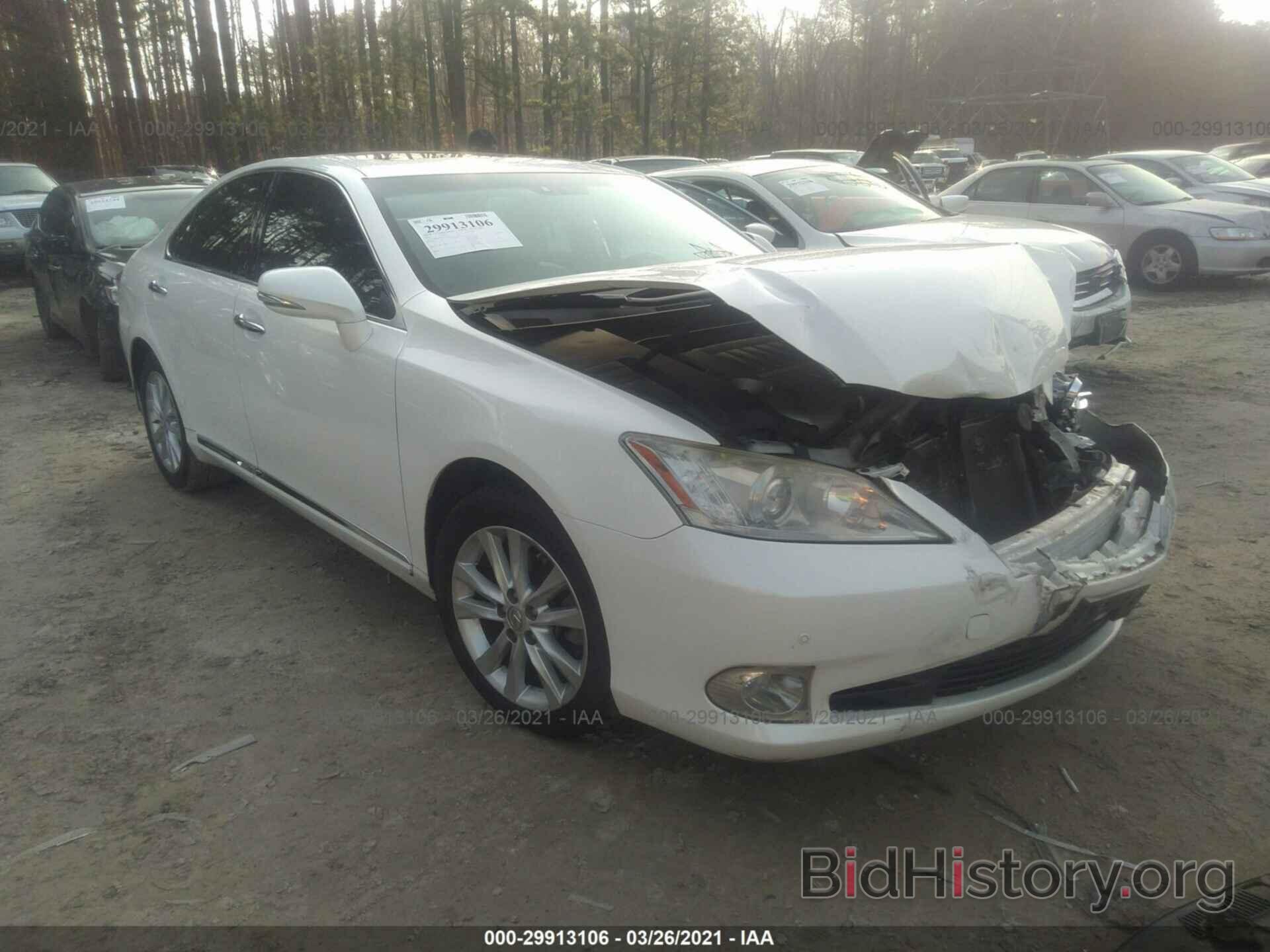 Фотография JTHBK1EG9A2391491 - LEXUS ES 350 2010