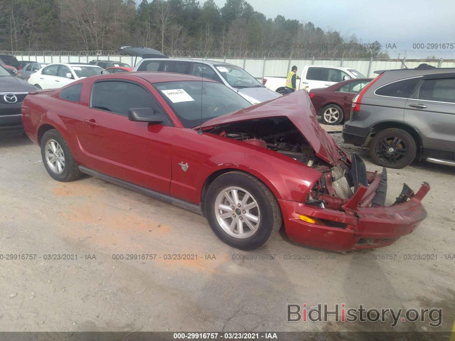 Photo 1ZVHT80N995131686 - FORD MUSTANG 2009