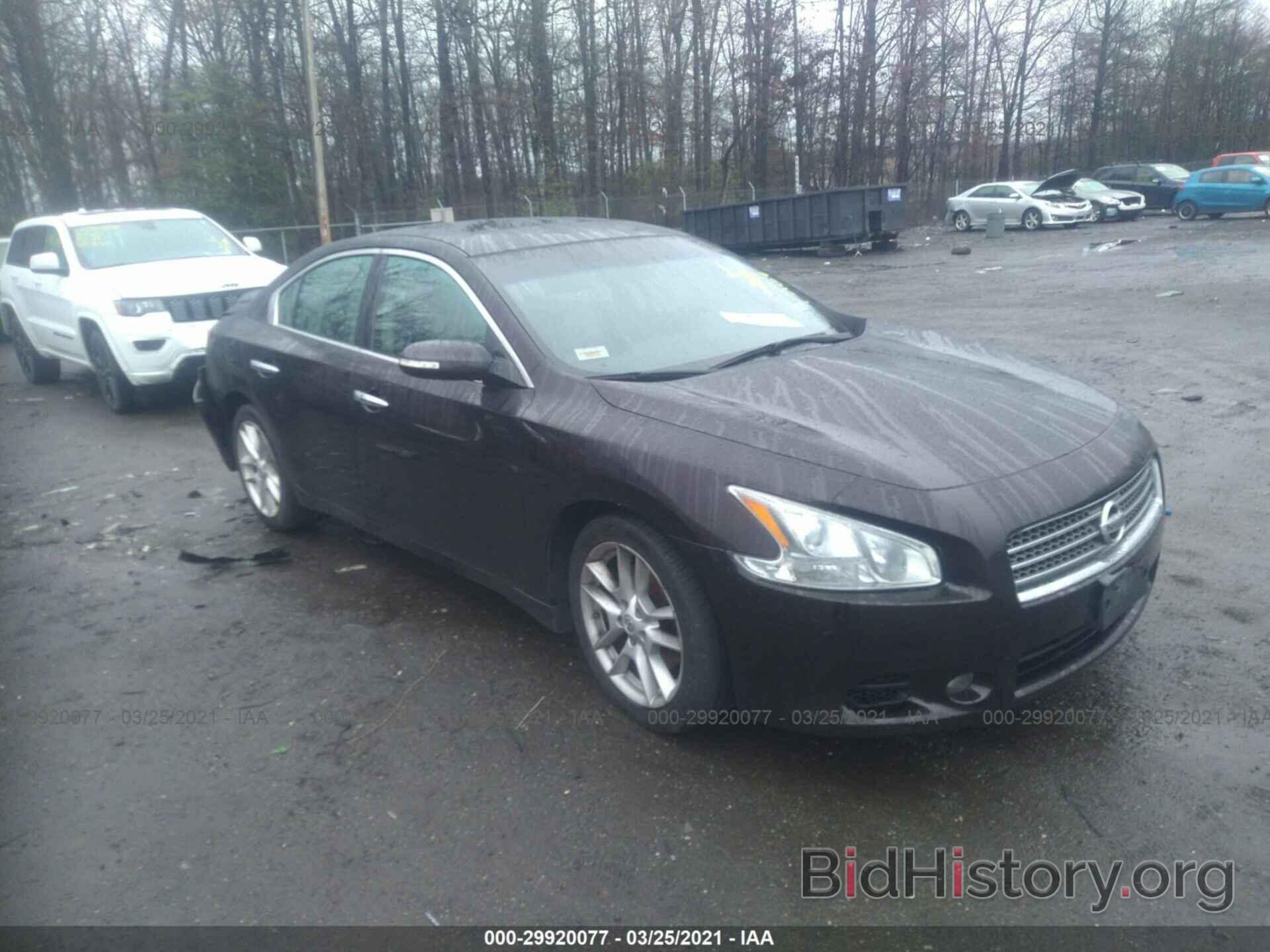 Photo 1N4AA5AP2BC834630 - NISSAN MAXIMA 2011