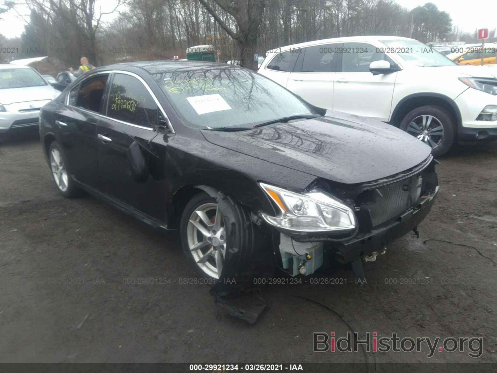 Photo 1N4AA5AP5BC826991 - NISSAN MAXIMA 2011