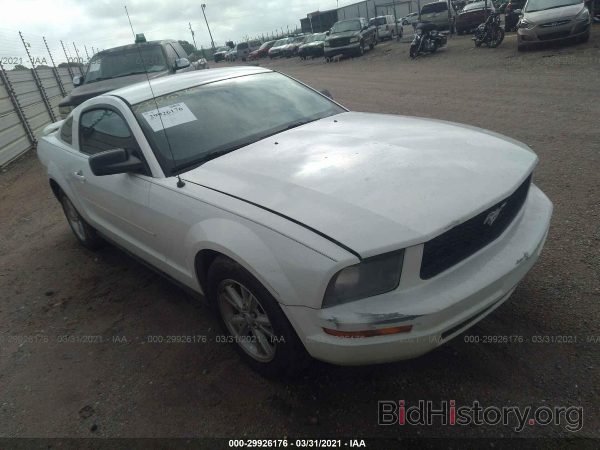 Photo 1ZVFT80N375294631 - FORD MUSTANG 2007