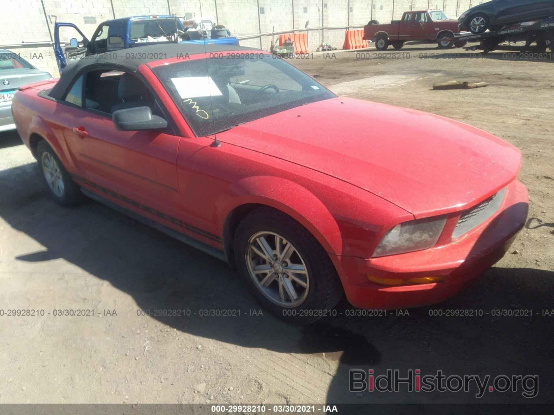 Photo 1ZVHT84N485188046 - FORD MUSTANG 2008