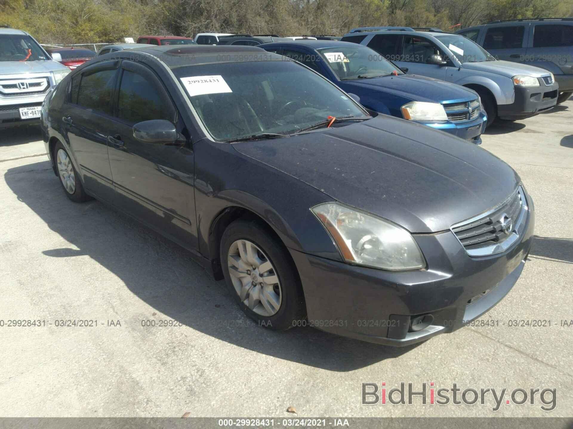 Photo 1N4BA41E58C823174 - NISSAN MAXIMA 2008