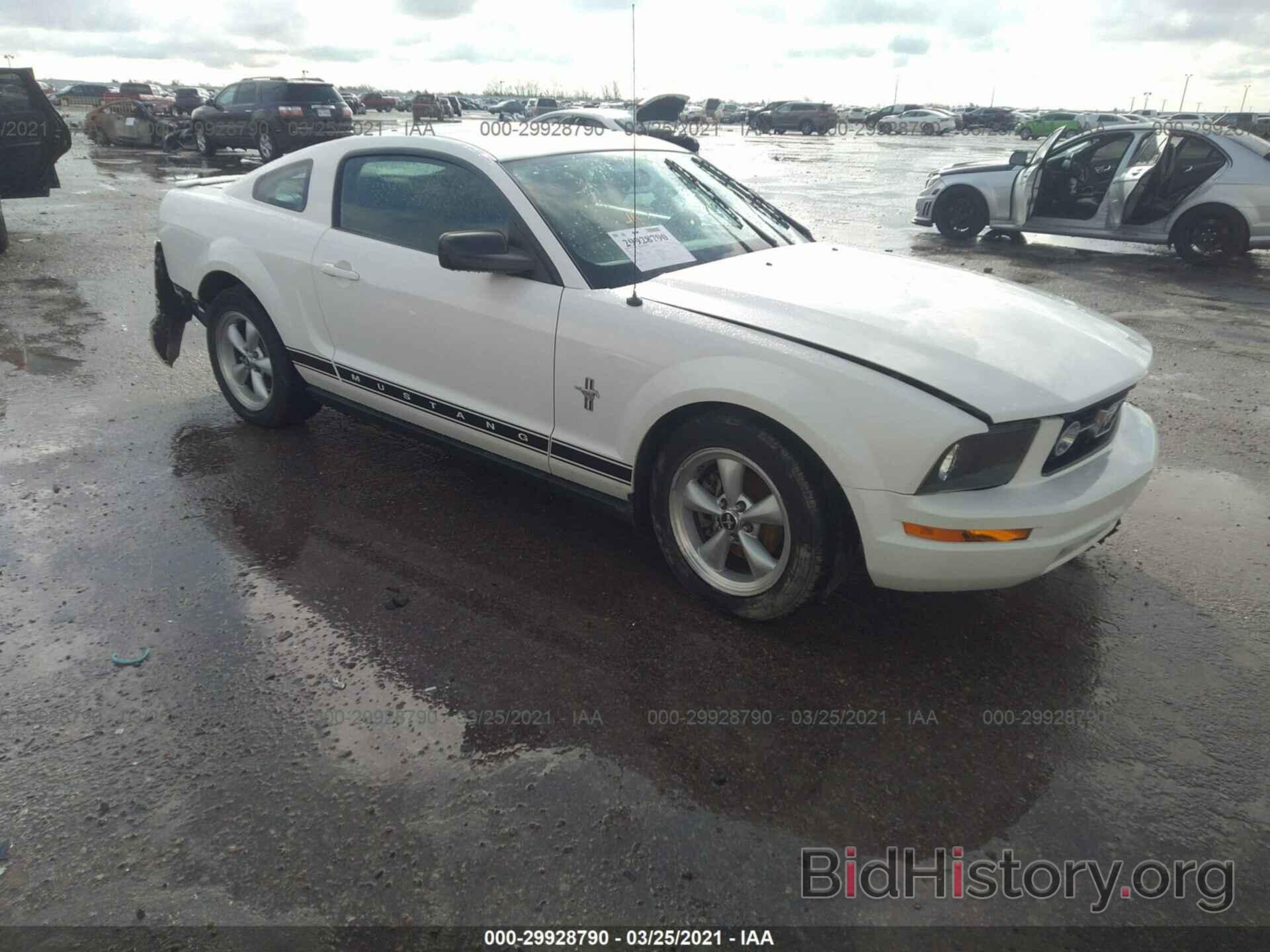 Photo 1ZVHT80N175337372 - FORD MUSTANG 2007
