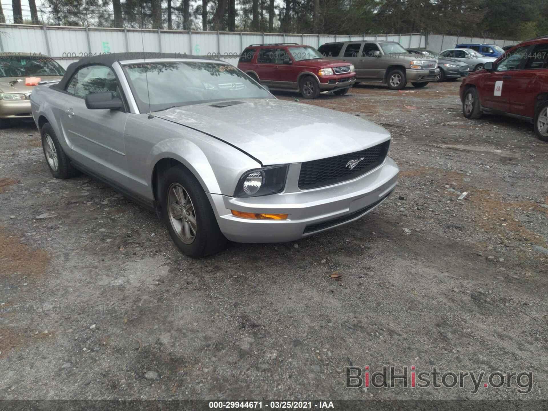Photo 1ZVHT84N585209213 - FORD MUSTANG 2008