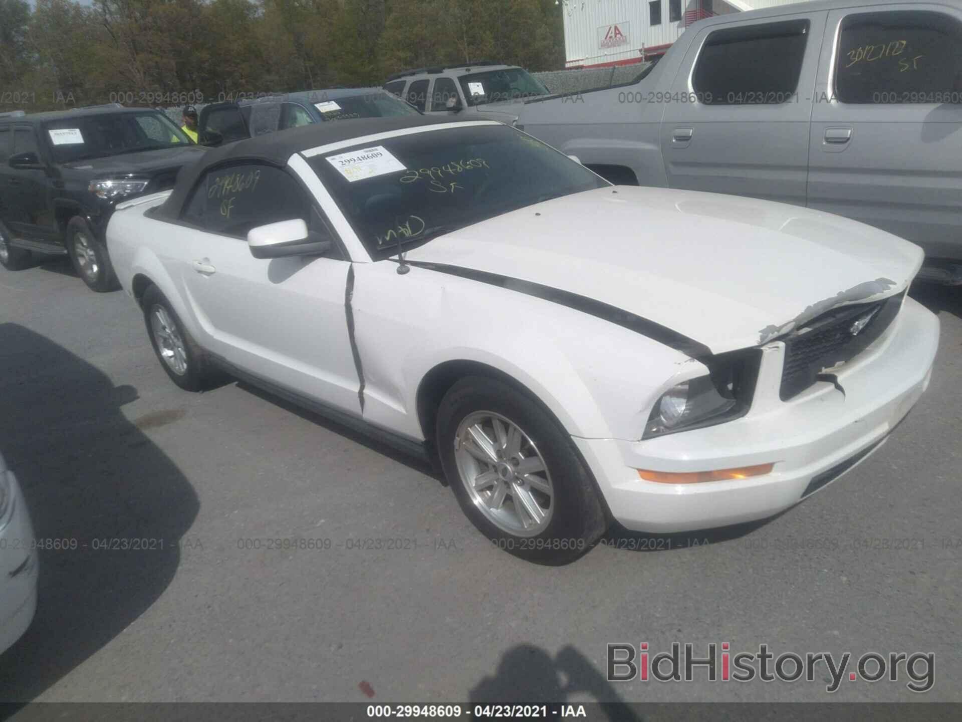 Photo 1ZVFT84N475272986 - FORD MUSTANG 2007