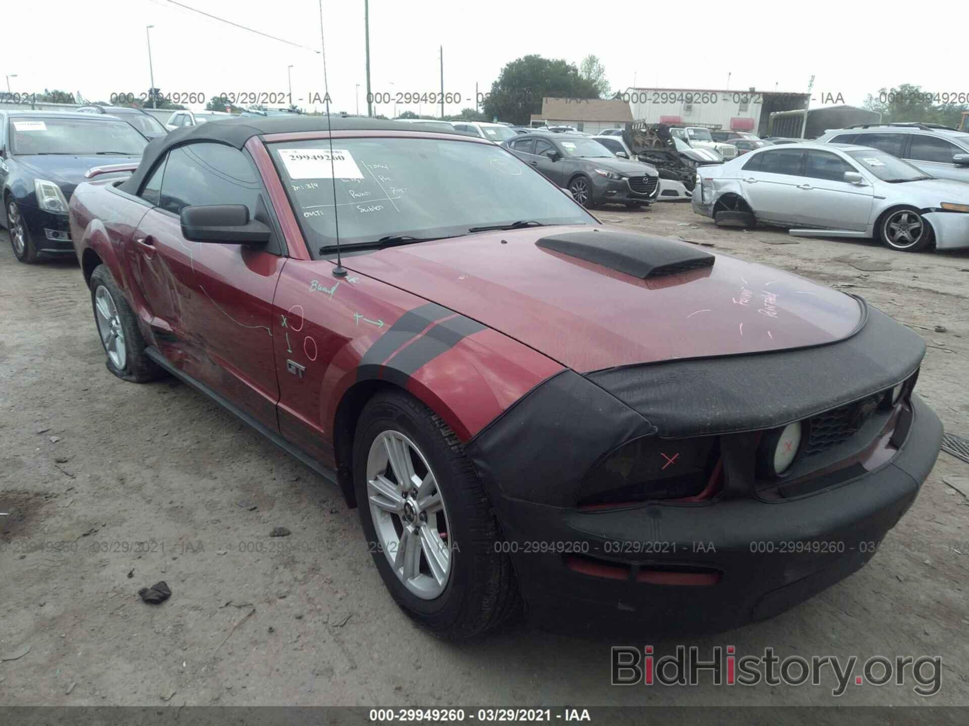 Photo 1ZVFT85H265104416 - FORD MUSTANG 2006