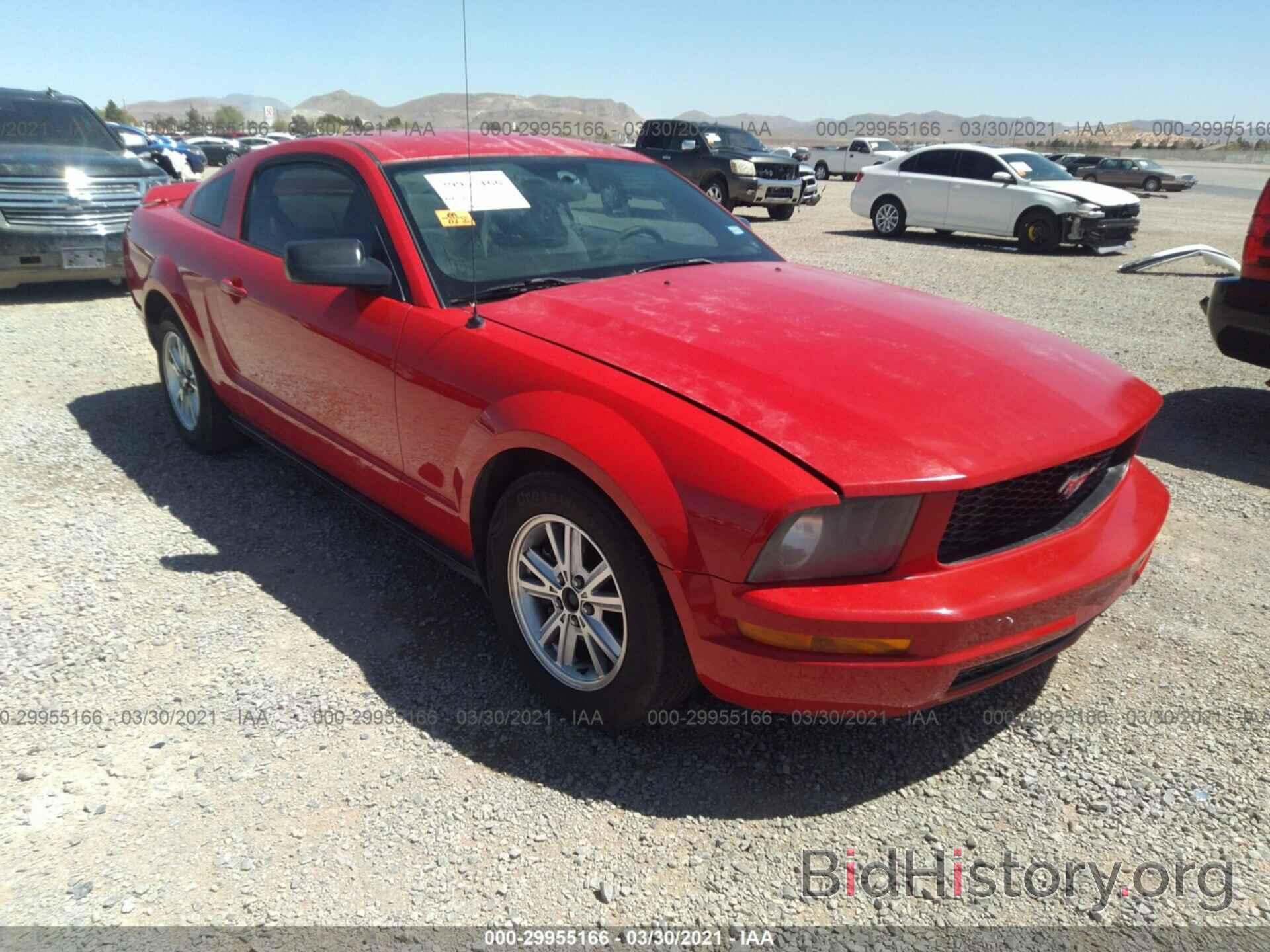 Photo 1ZVHT80N485171978 - FORD MUSTANG 2008