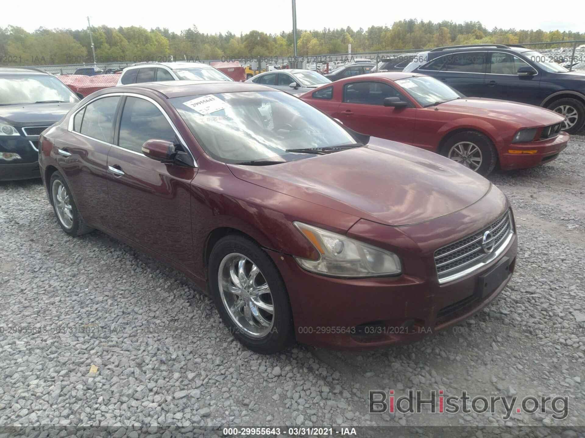 Photo 1N4AA5APXAC801552 - NISSAN MAXIMA 2010