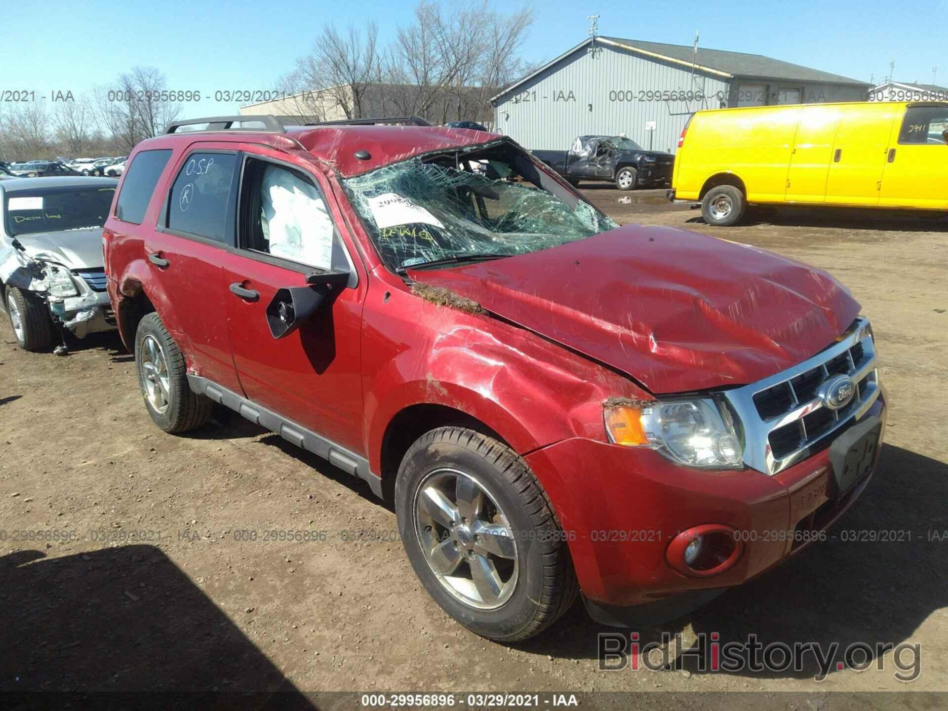 Photo 1FMCU0D7XBKC36974 - FORD ESCAPE 2011