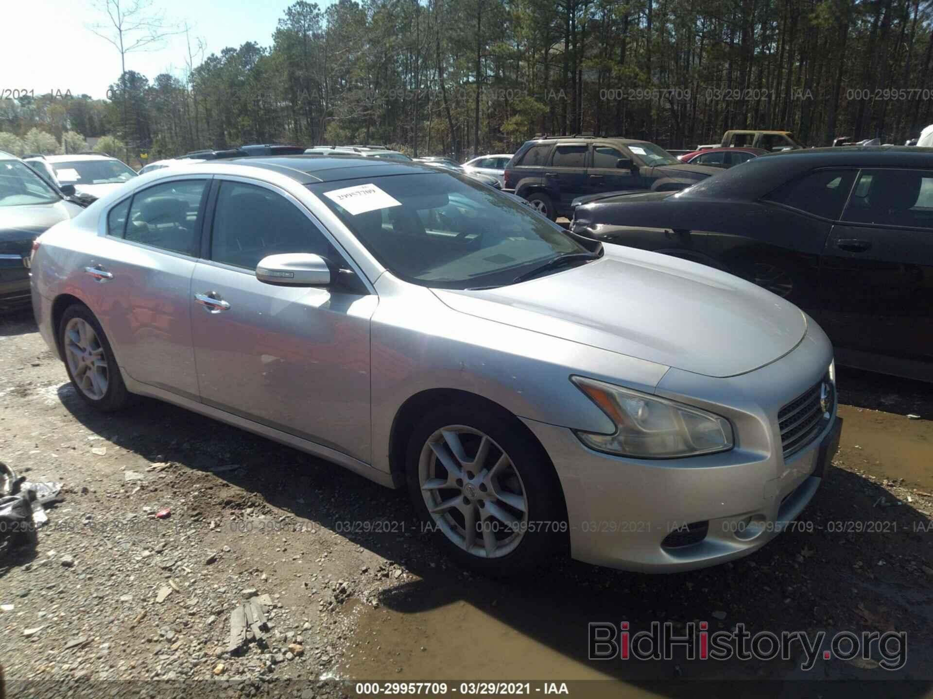 Photo 1N4AA5AP1AC866788 - NISSAN MAXIMA 2010