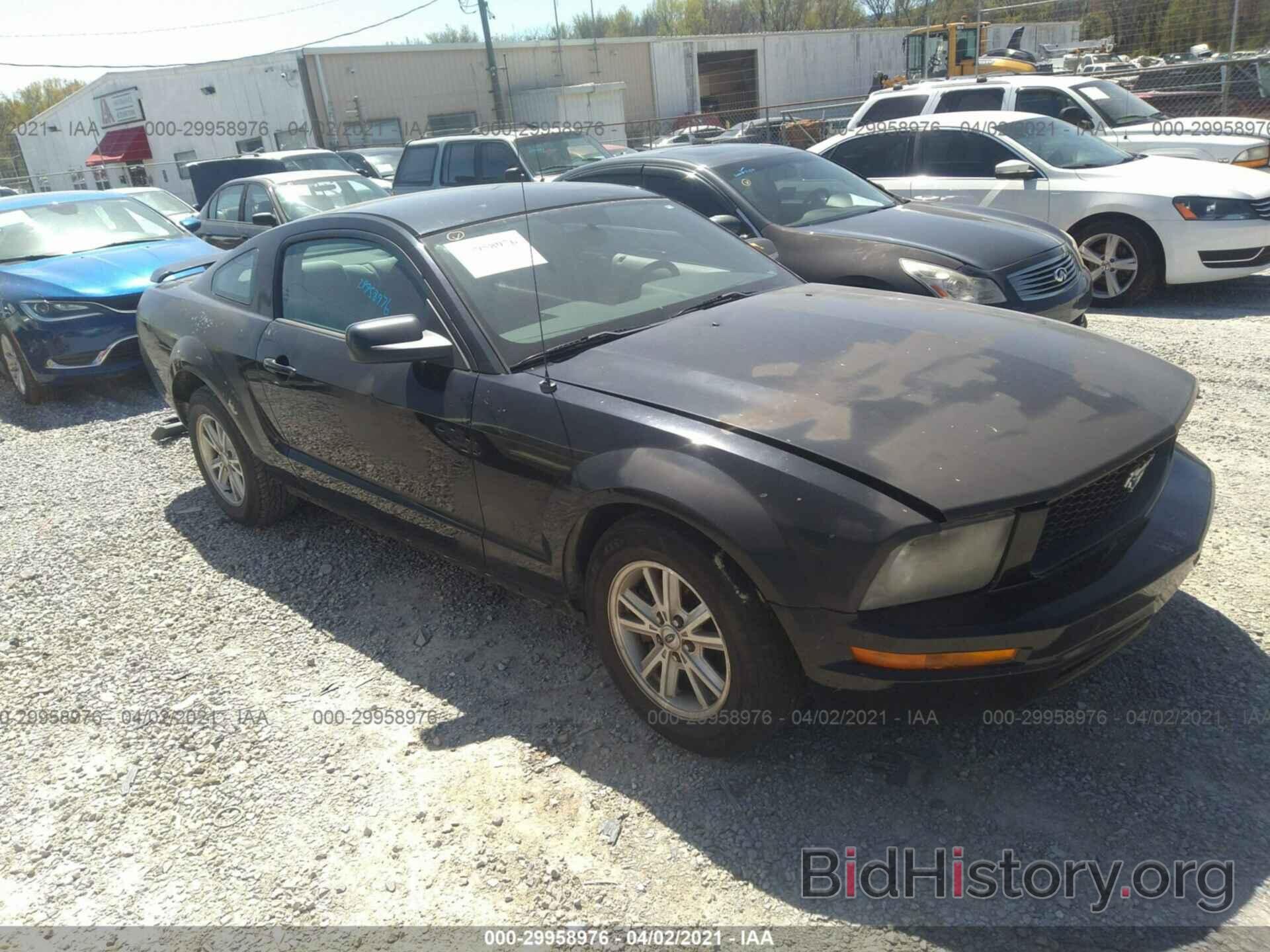 Photo 1ZVFT80N065232652 - FORD MUSTANG 2006