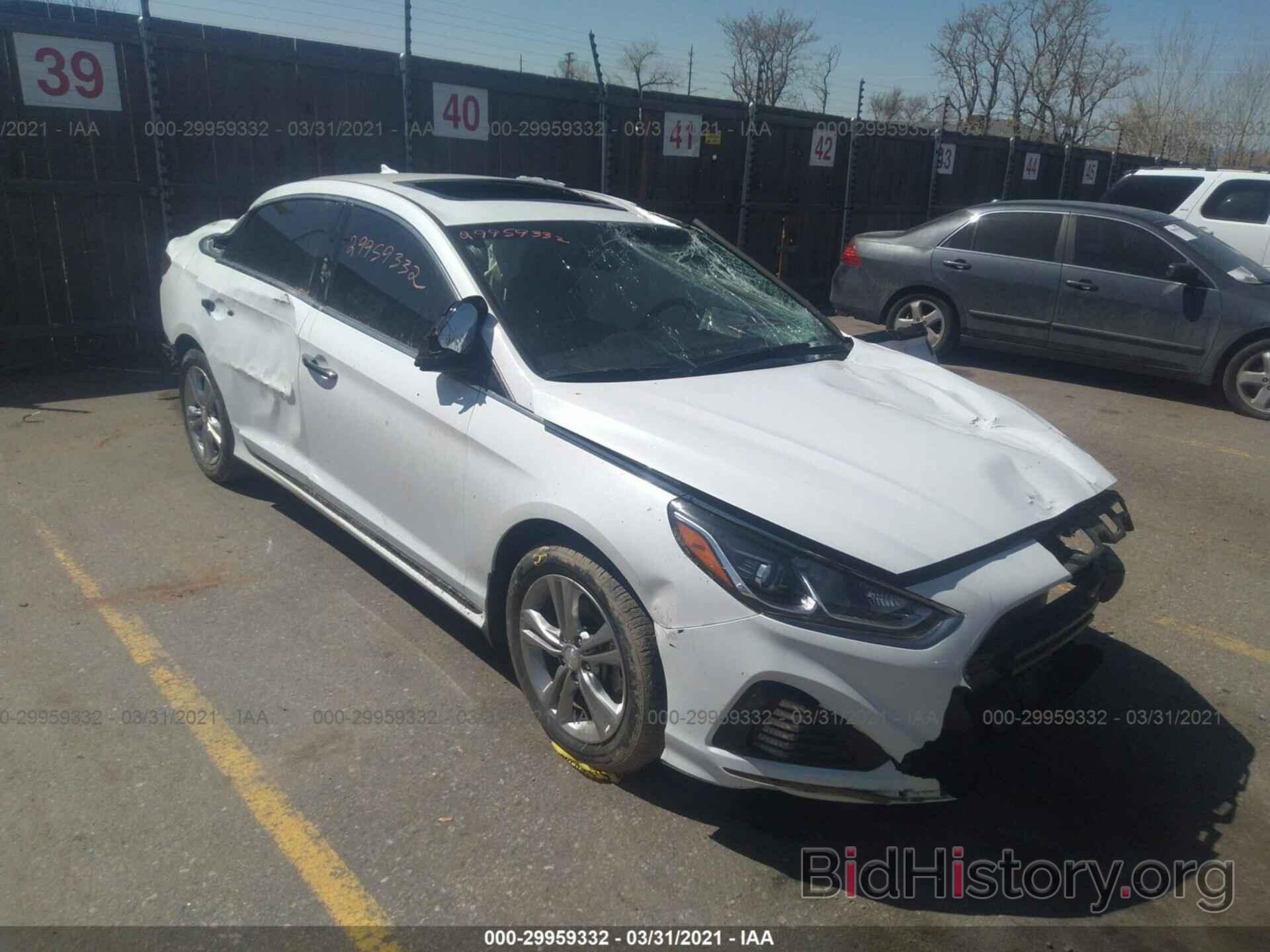 Photo 5NPE34AF1KH774562 - HYUNDAI SONATA 2019