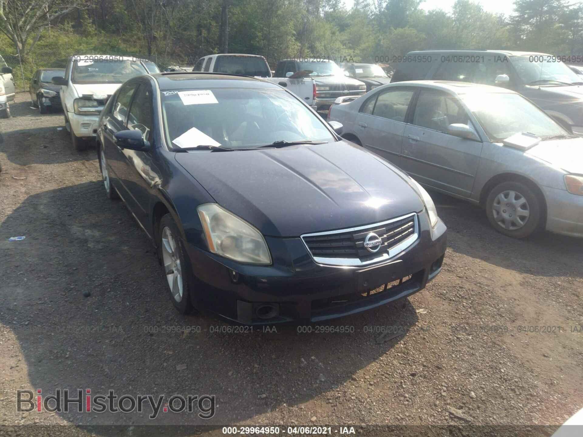 Photo 1N4BA41E47C856469 - NISSAN MAXIMA 2007