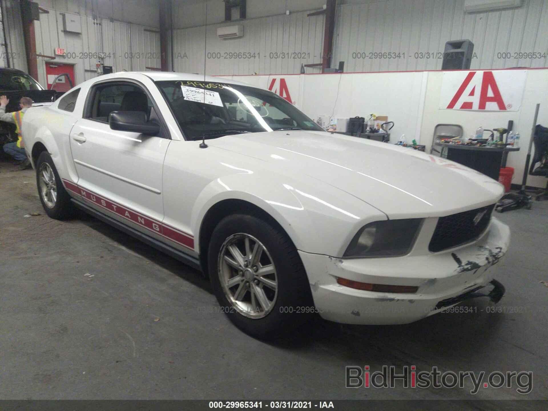Photo 1ZVFT80N087533221 - FORD MUSTANG 2008