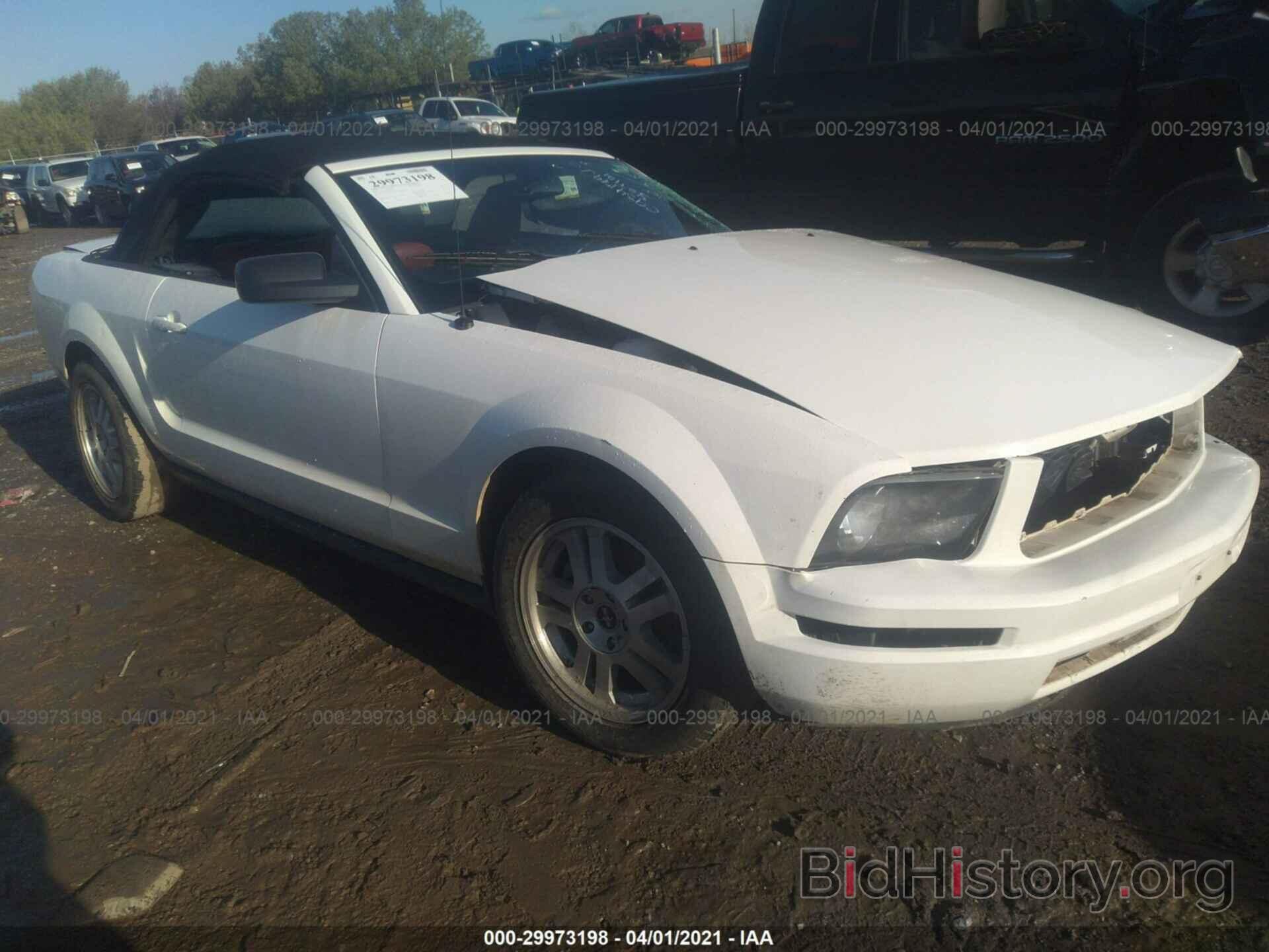 Photo 1ZVHT84N285137127 - FORD MUSTANG 2008