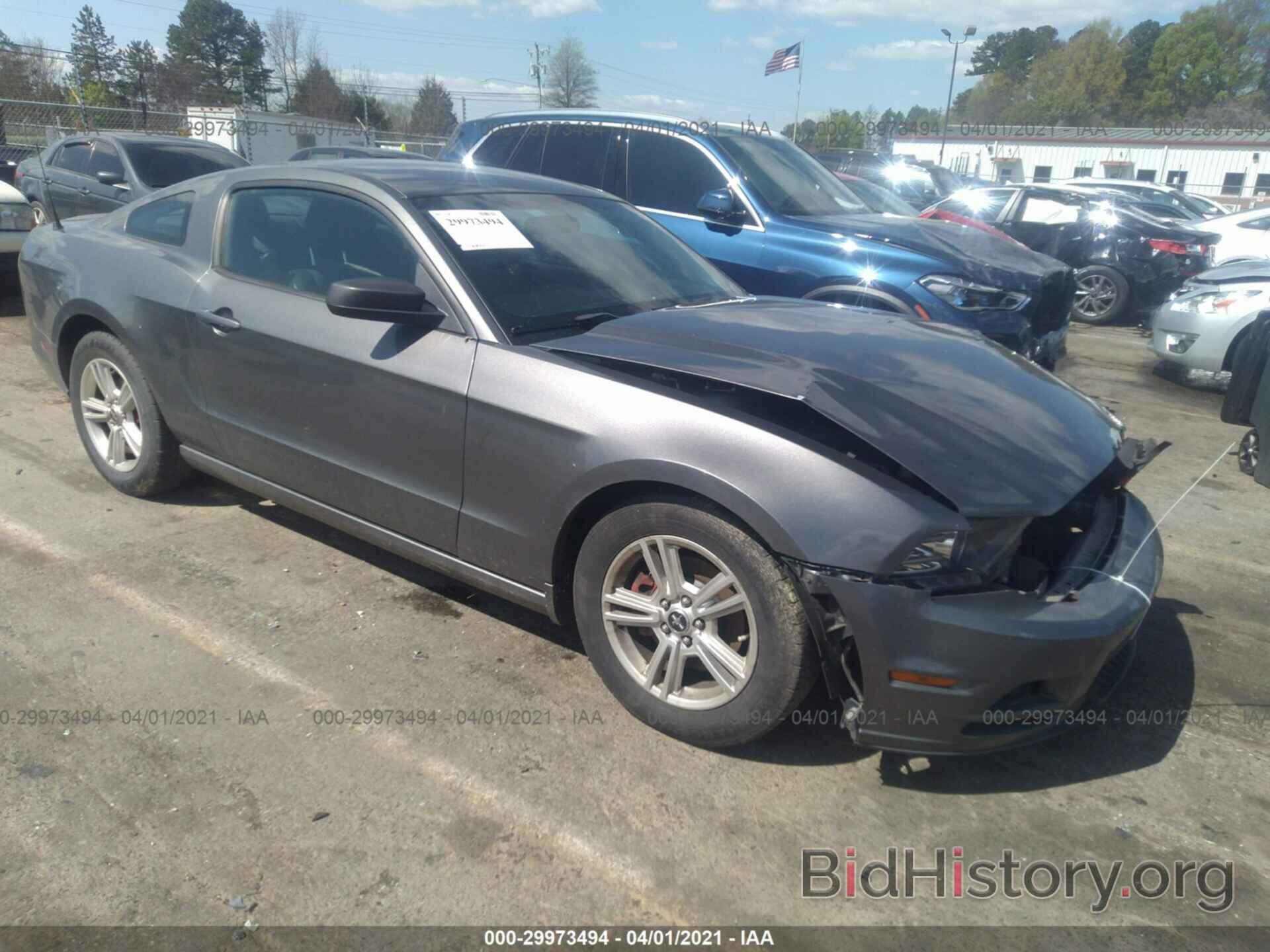Photo 1ZVBP8AM2E5274425 - FORD MUSTANG 2014