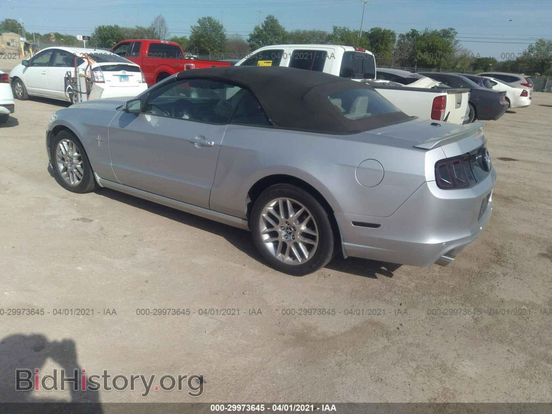 2013 FORD MUSTANG - VIN: 1ZVBP8EM8D5206297 - Фото 3