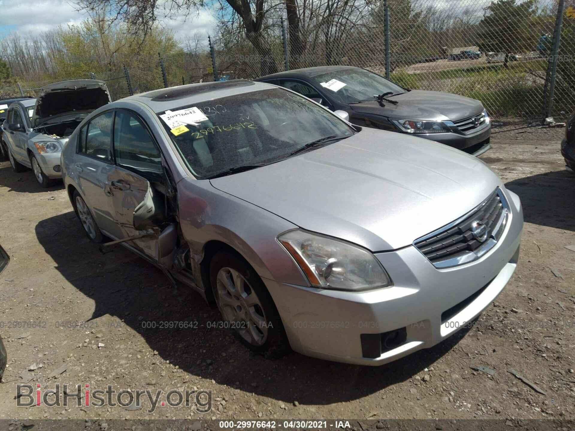 Photo 1N4BA41EX8C813384 - NISSAN MAXIMA 2008