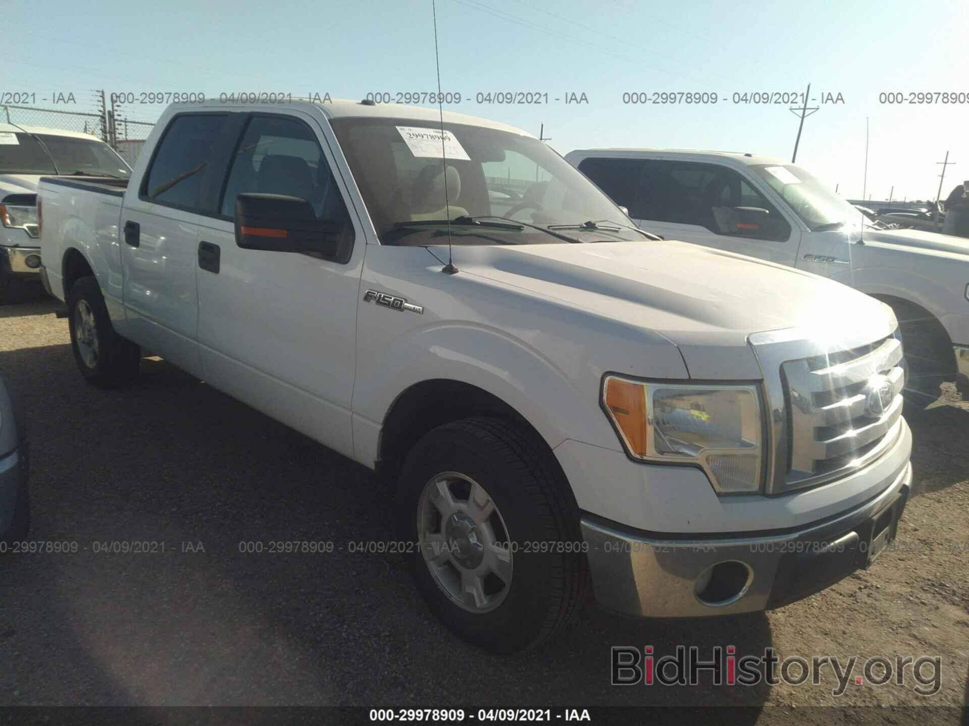 Photo 1FTEW1C80AFD86476 - FORD F-150 2010