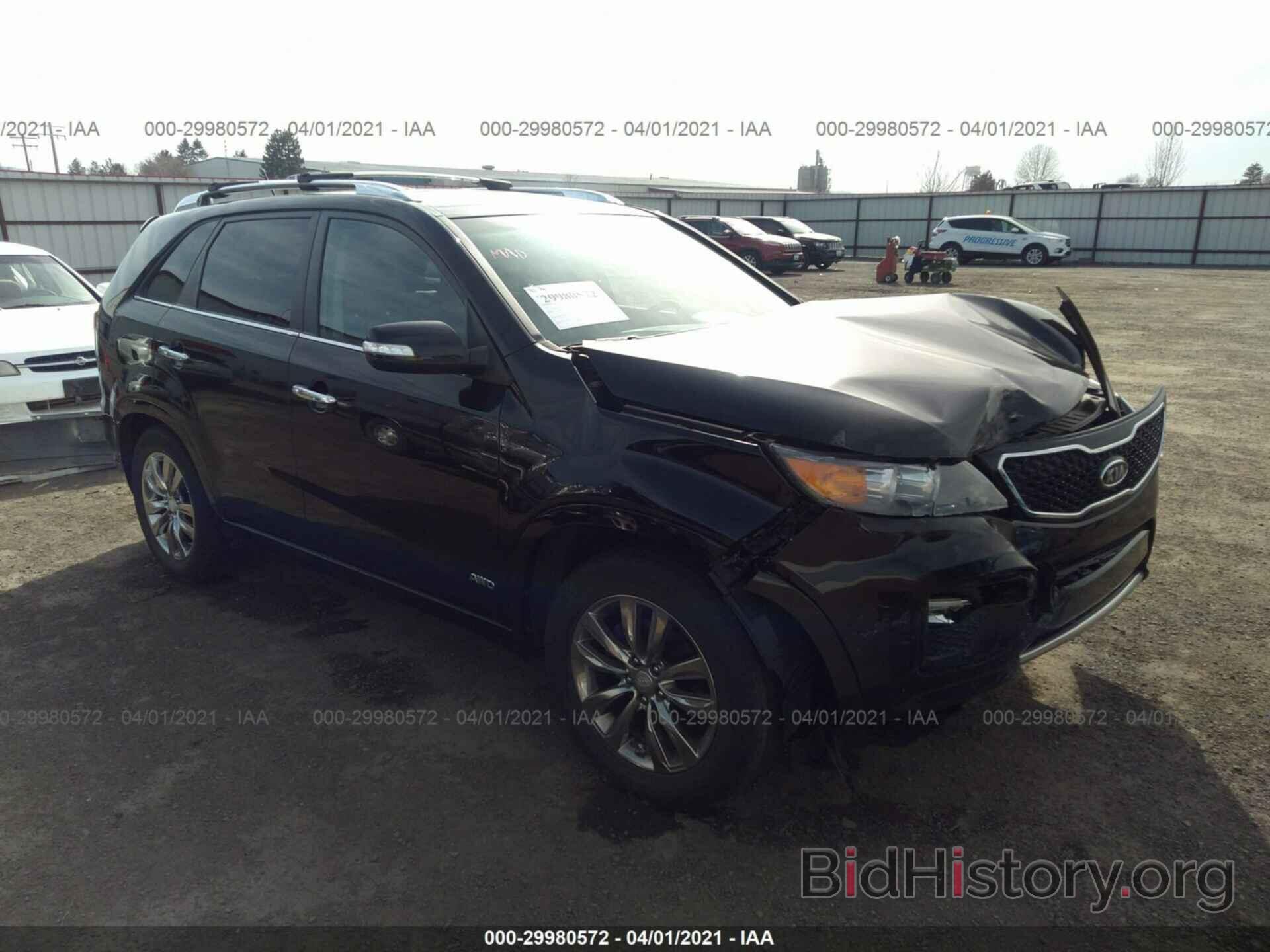 Фотография 5XYKWDA23DG325787 - KIA SORENTO 2013