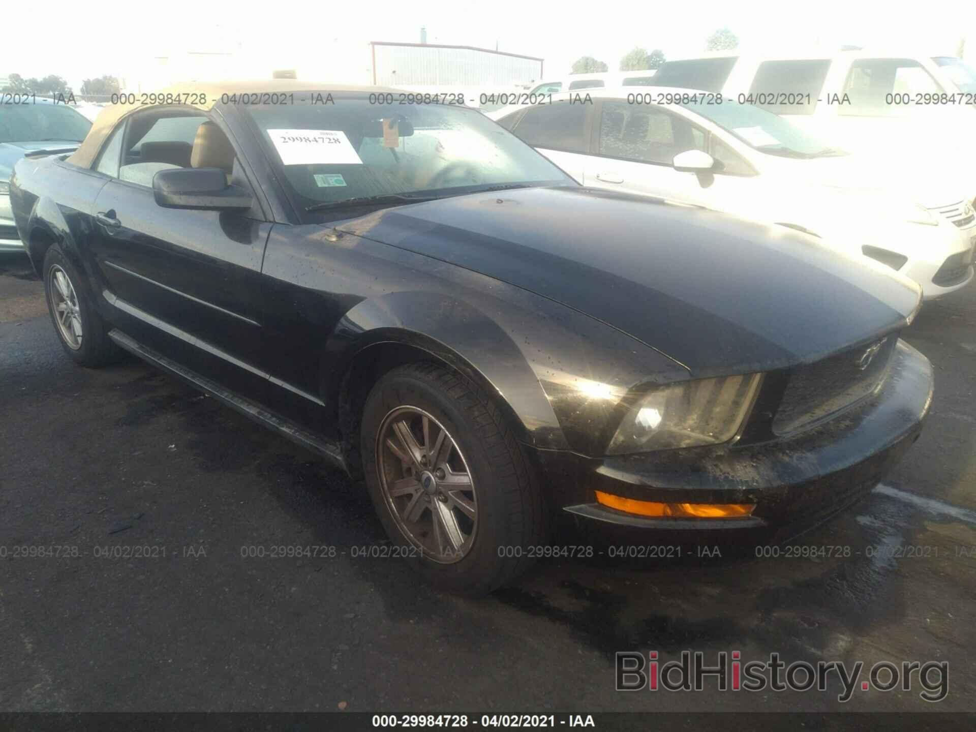 Photo 1ZVHT84N685193801 - FORD MUSTANG 2008