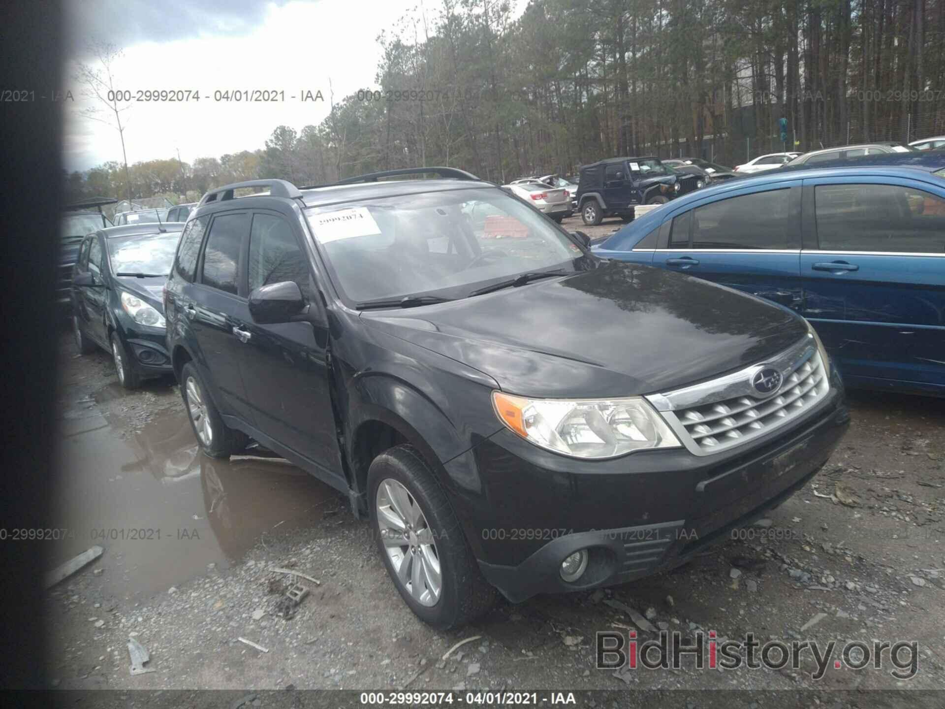 Photo JF2SHBEC1BH773159 - SUBARU FORESTER 2011