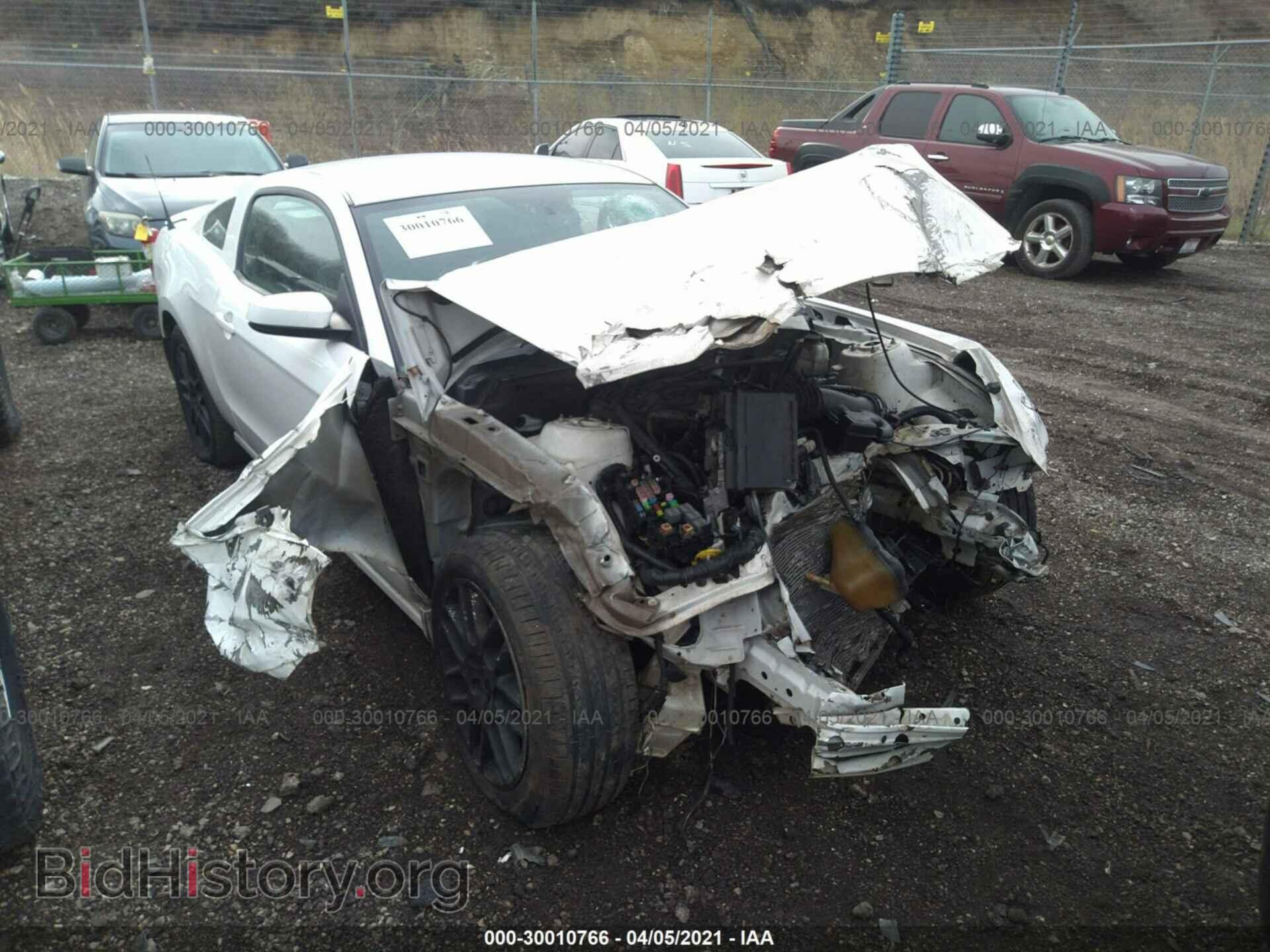 Photo 1ZVBP8AM0D5206073 - FORD MUSTANG 2013