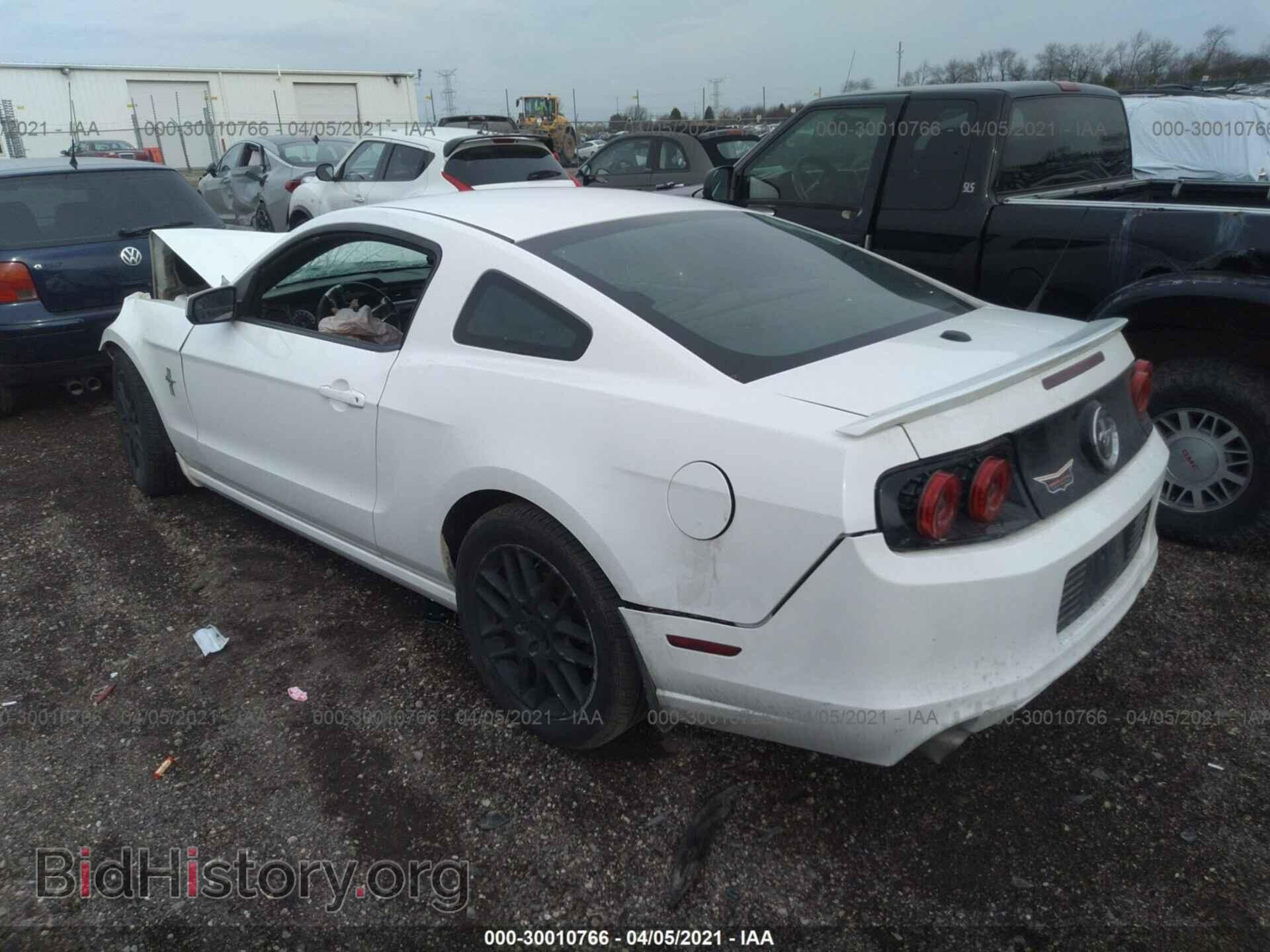 2013 FORD MUSTANG - VIN: 1ZVBP8AM0D5206073 - Фото 3