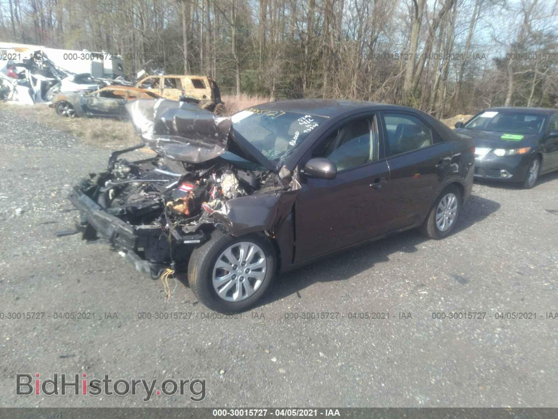 2013 KIA FORTE - VIN: KNAFU4A28D5723025 - Фото 2