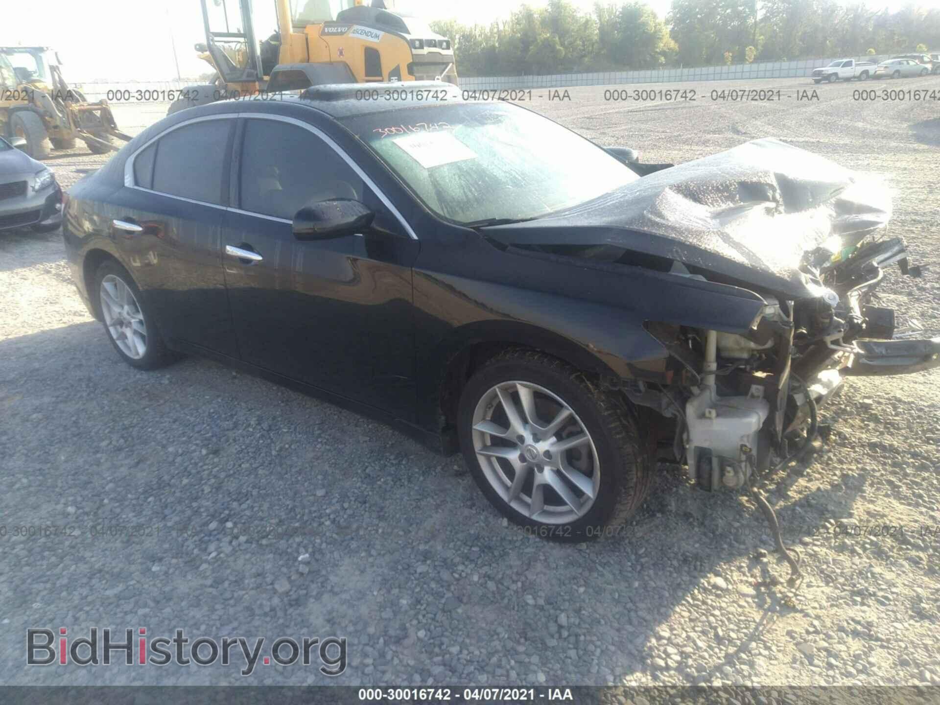 Фотография 1N4AA5AP1BC861950 - NISSAN MAXIMA 2011
