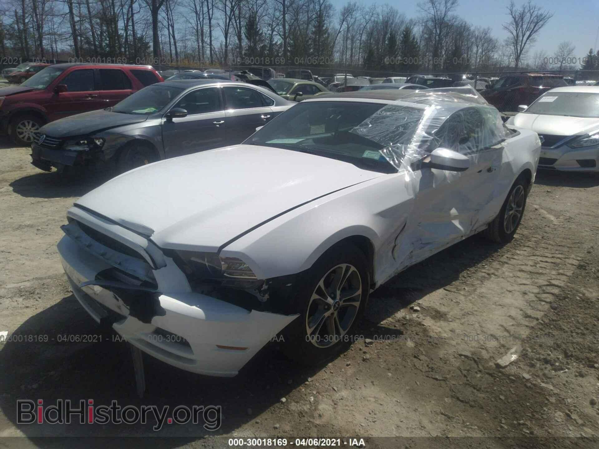 2014 FORD MUSTANG - VIN: 1ZVBP8EM5E5281640 - Фото 2