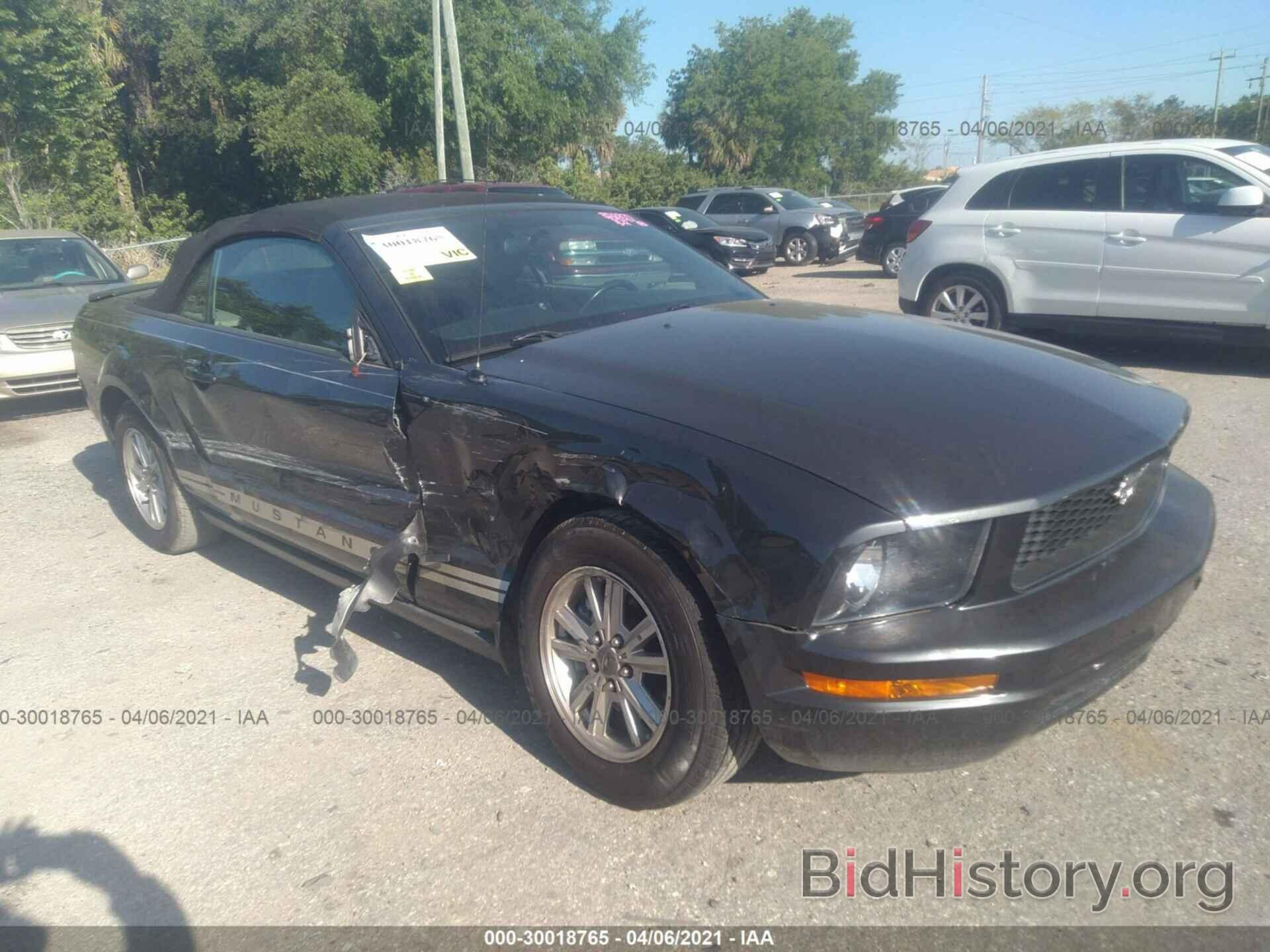 Photo 1ZVHT84N385130770 - FORD MUSTANG 2008