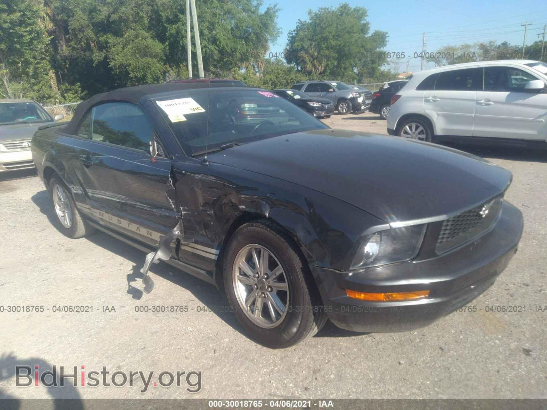Фотография 1ZVHT84N385130770 - FORD MUSTANG 2008
